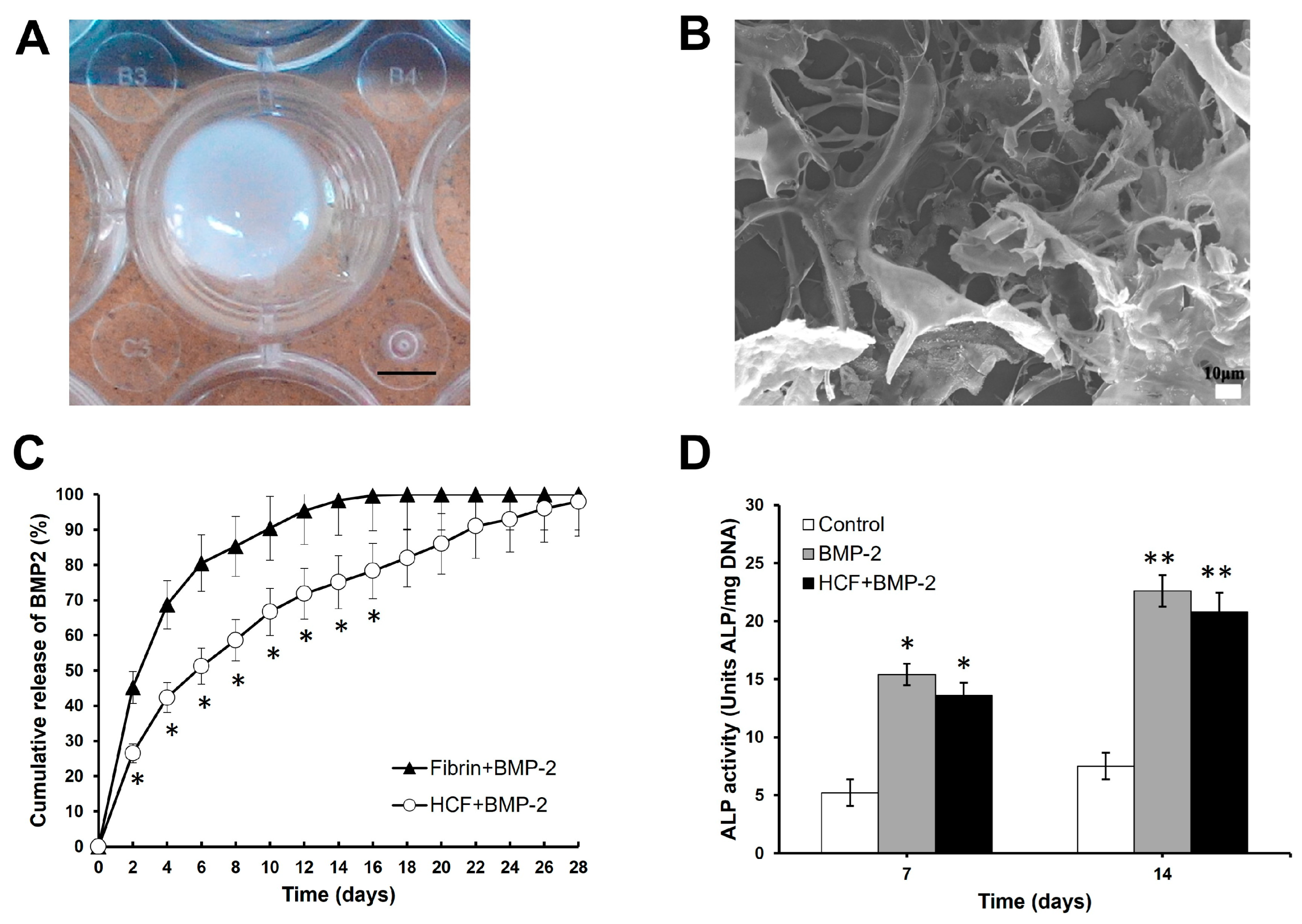 Bioengineering 11 00437 g001 Bioengineering 11 00437 g001