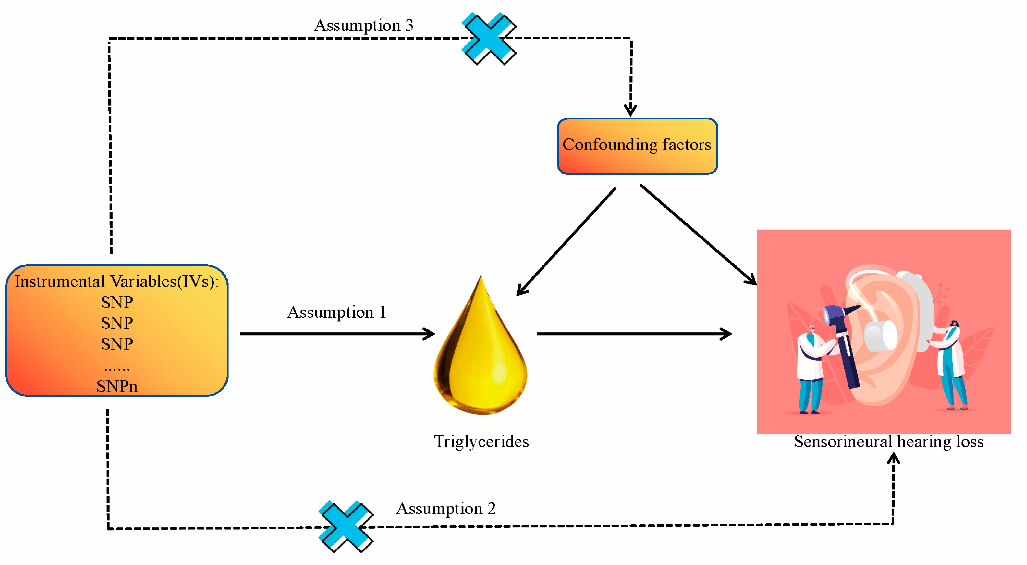 Bioengineering 11 00438 g001