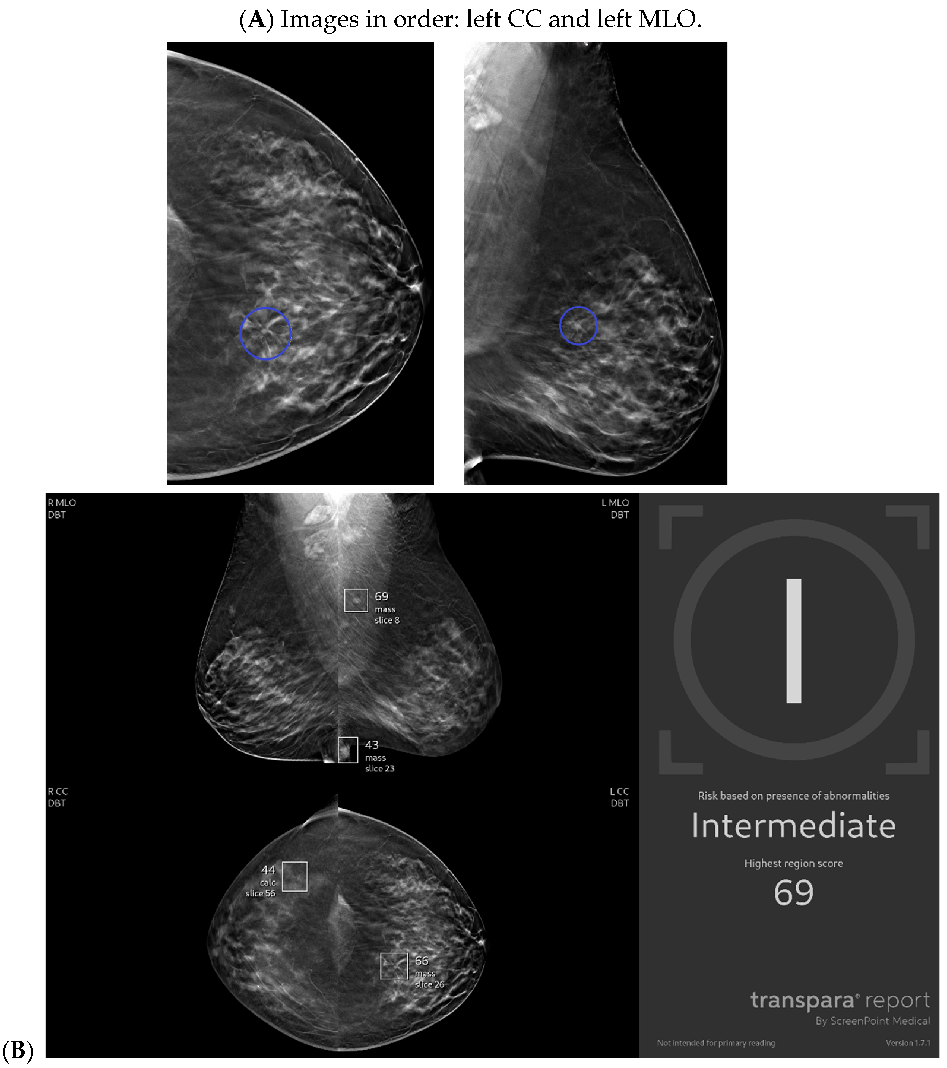 Bioengineering 11 00451 g002