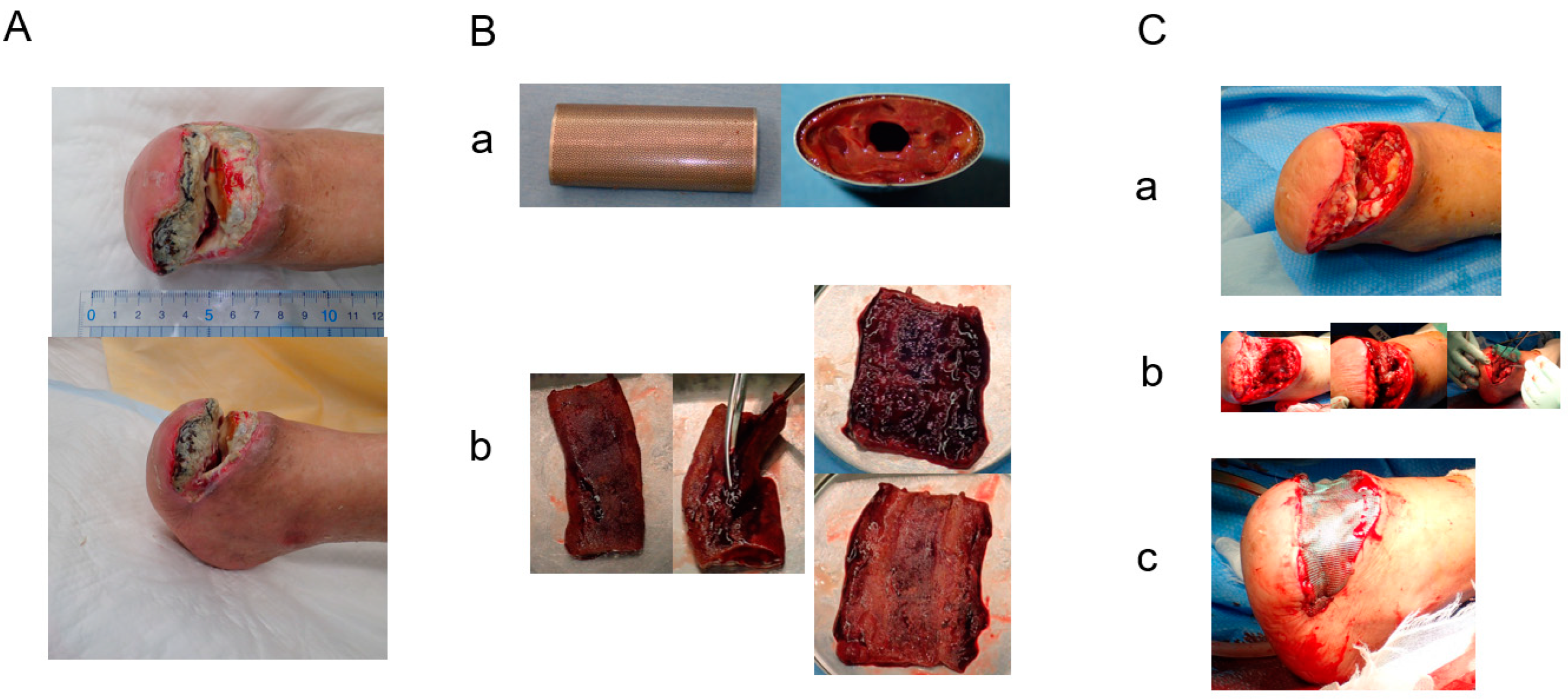 Bioengineering 11 00462 g005