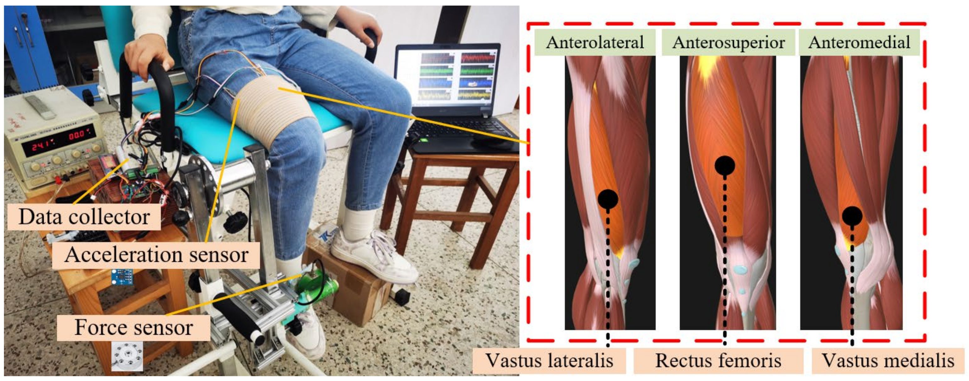 Bioengineering 11 00470 g001