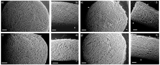 Bioengineering 11 00471 g0a1