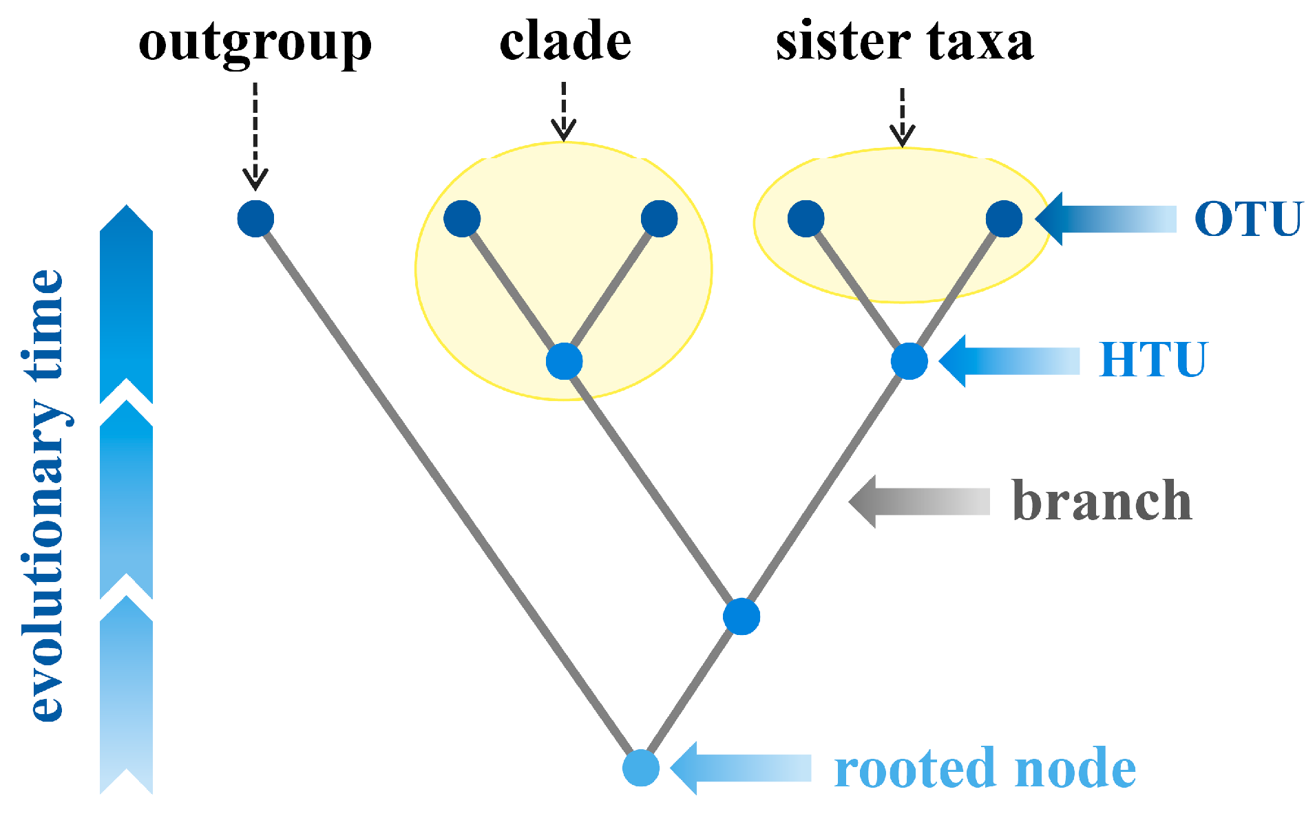 Bioengineering 11 00480 g001