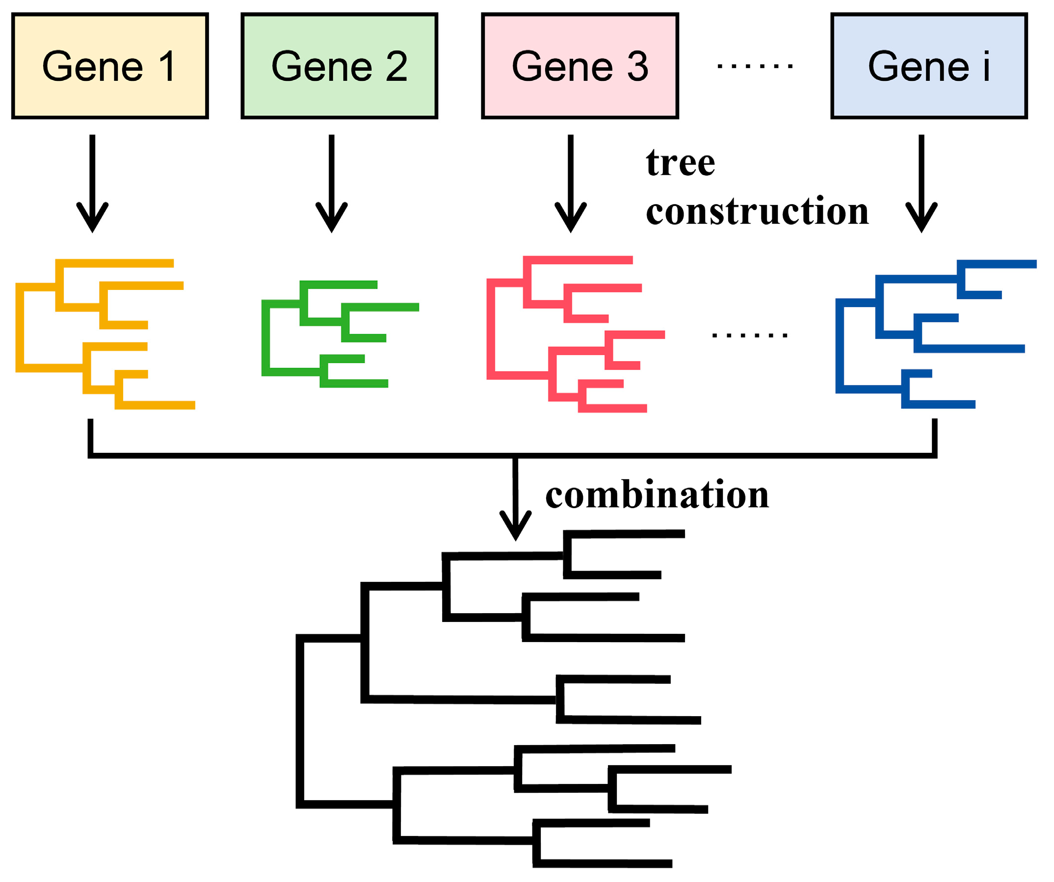 Bioengineering 11 00480 g008