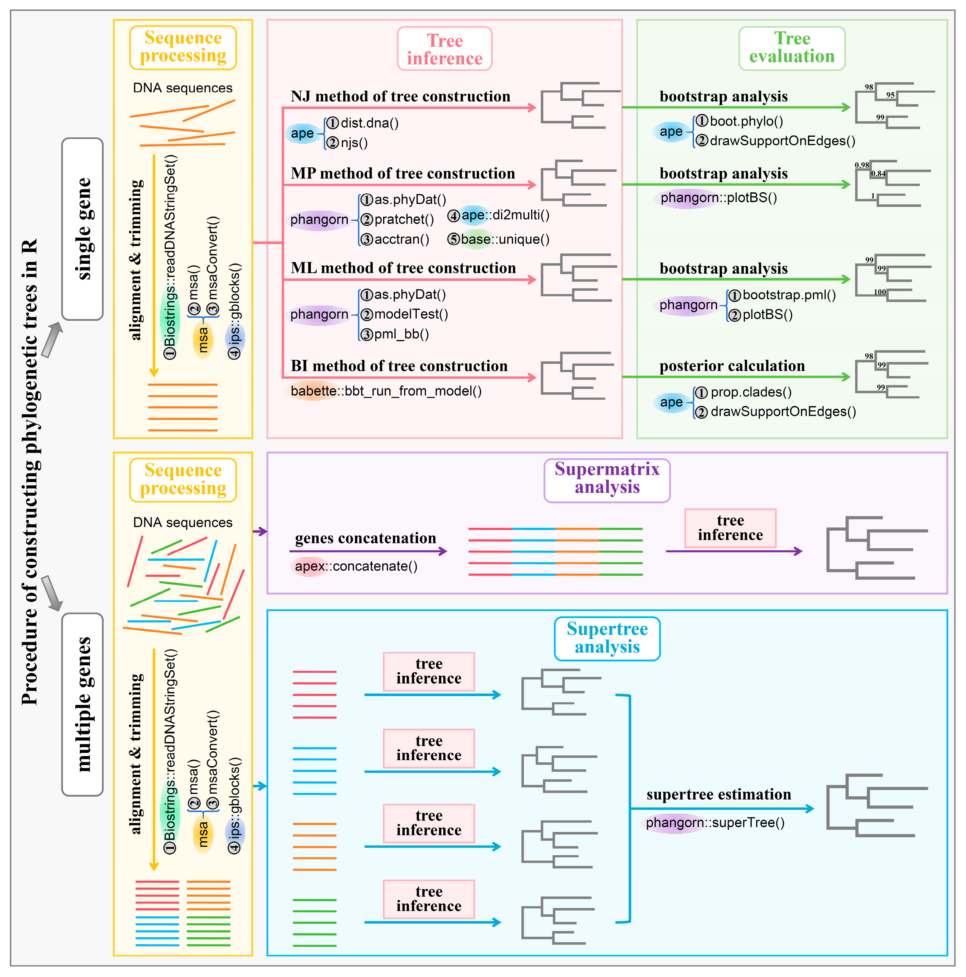 Bioengineering 11 00480 g009