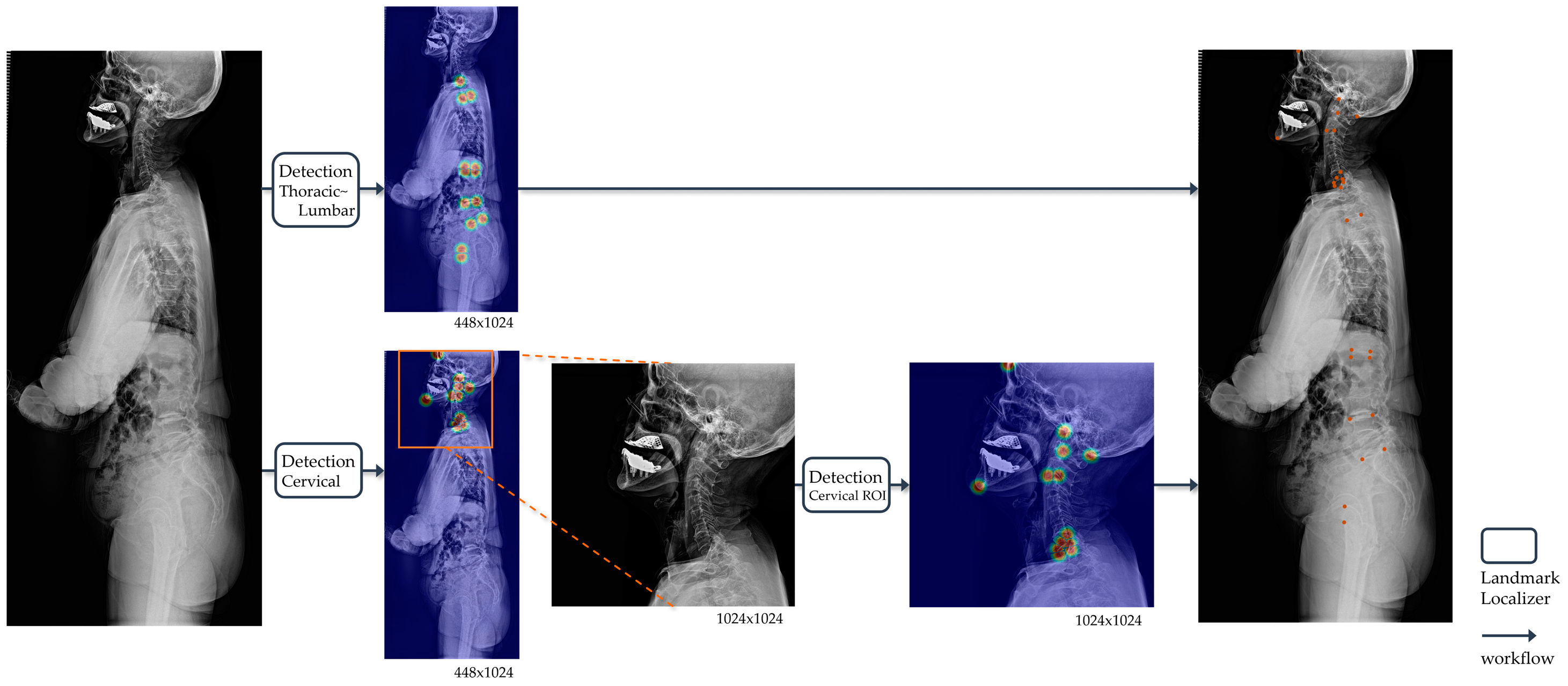 Bioengineering 11 00481 g003