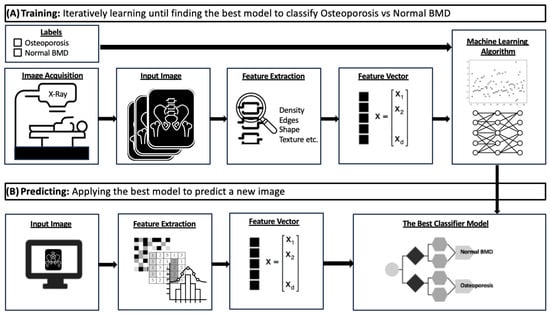 Bioengineering 11 00484 g002
