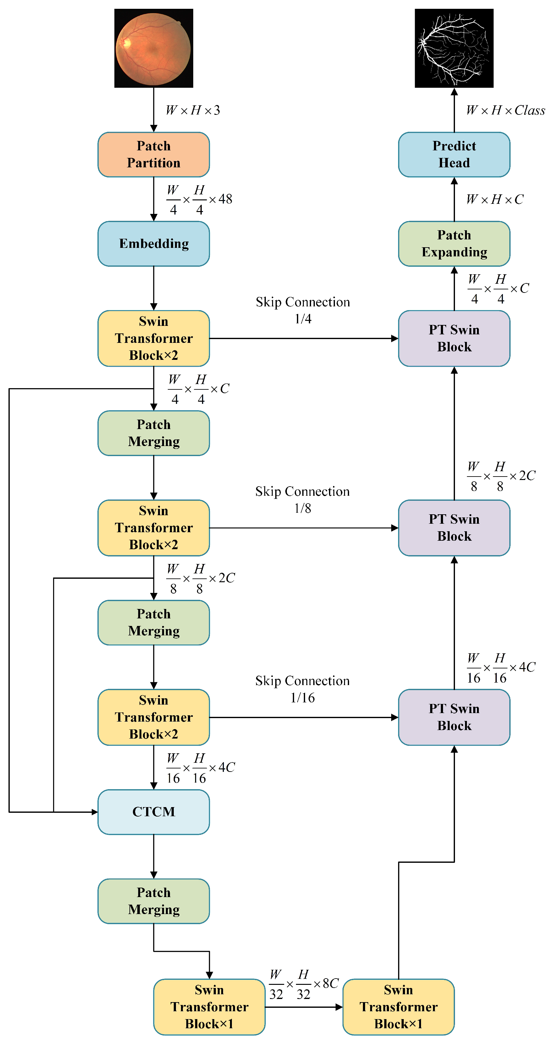 Bioengineering 11 00488 g001 Bioengineering 11 00488 g001