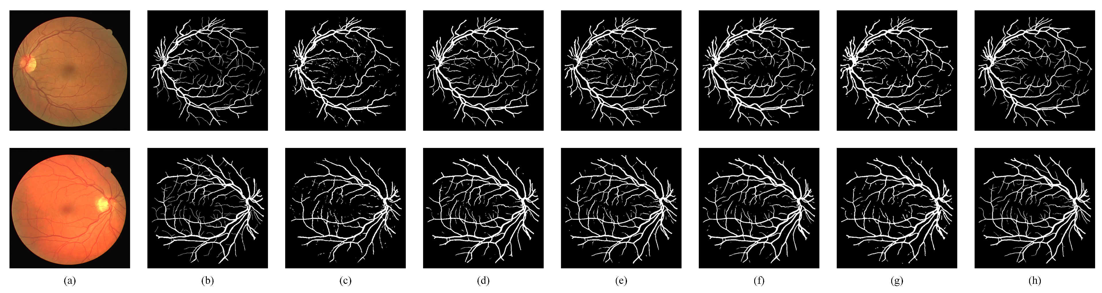 Bioengineering 11 00488 g009 Bioengineering 11 00488 g009