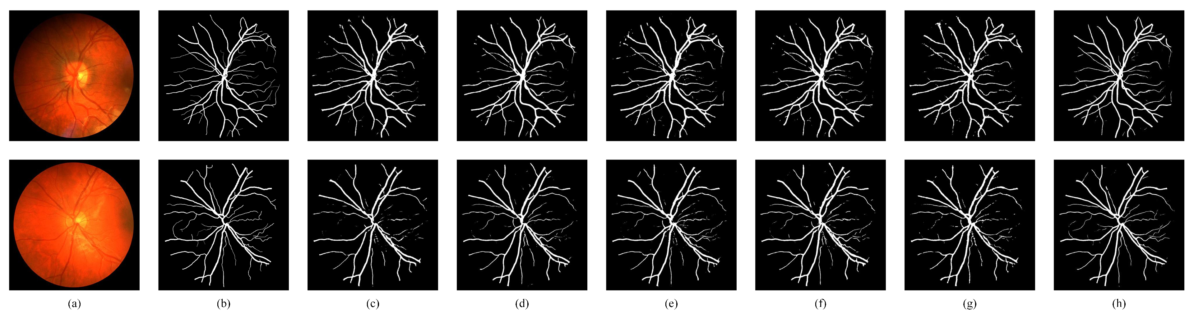 Bioengineering 11 00488 g010 Bioengineering 11 00488 g010