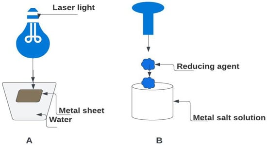 Bioengineering 11 00492 g002