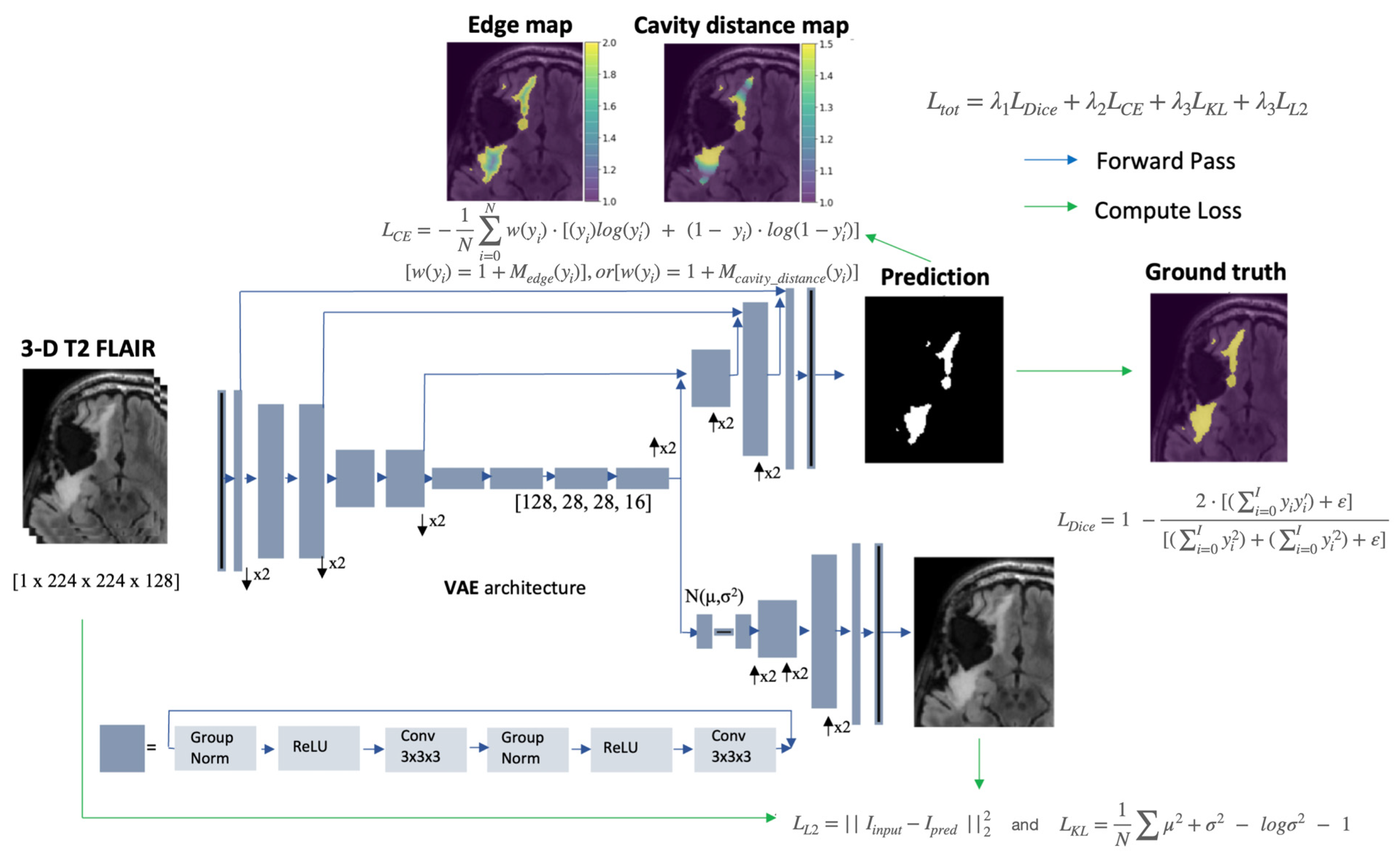 Bioengineering 11 00497 g001