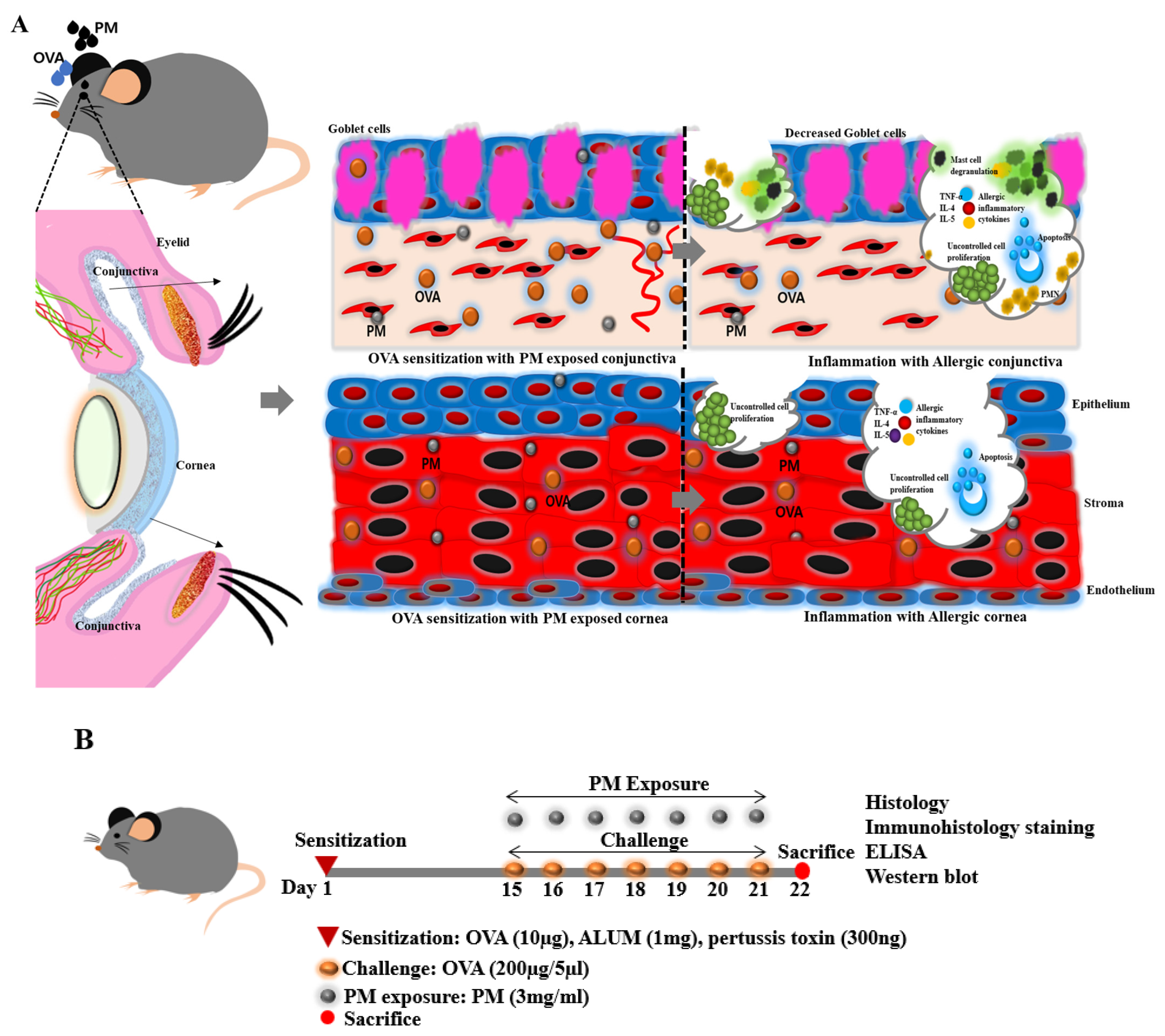 Bioengineering 11 00498 g001a