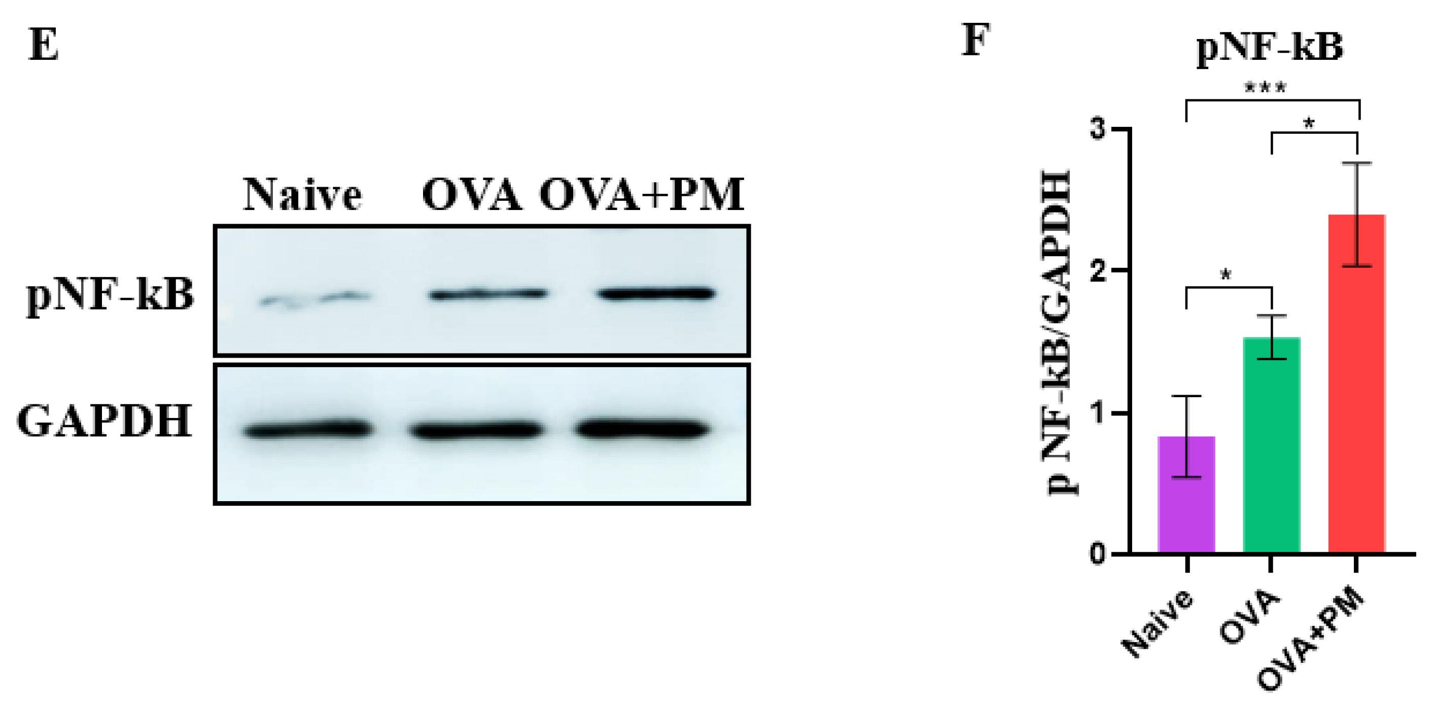 Bioengineering 11 00498 g005b