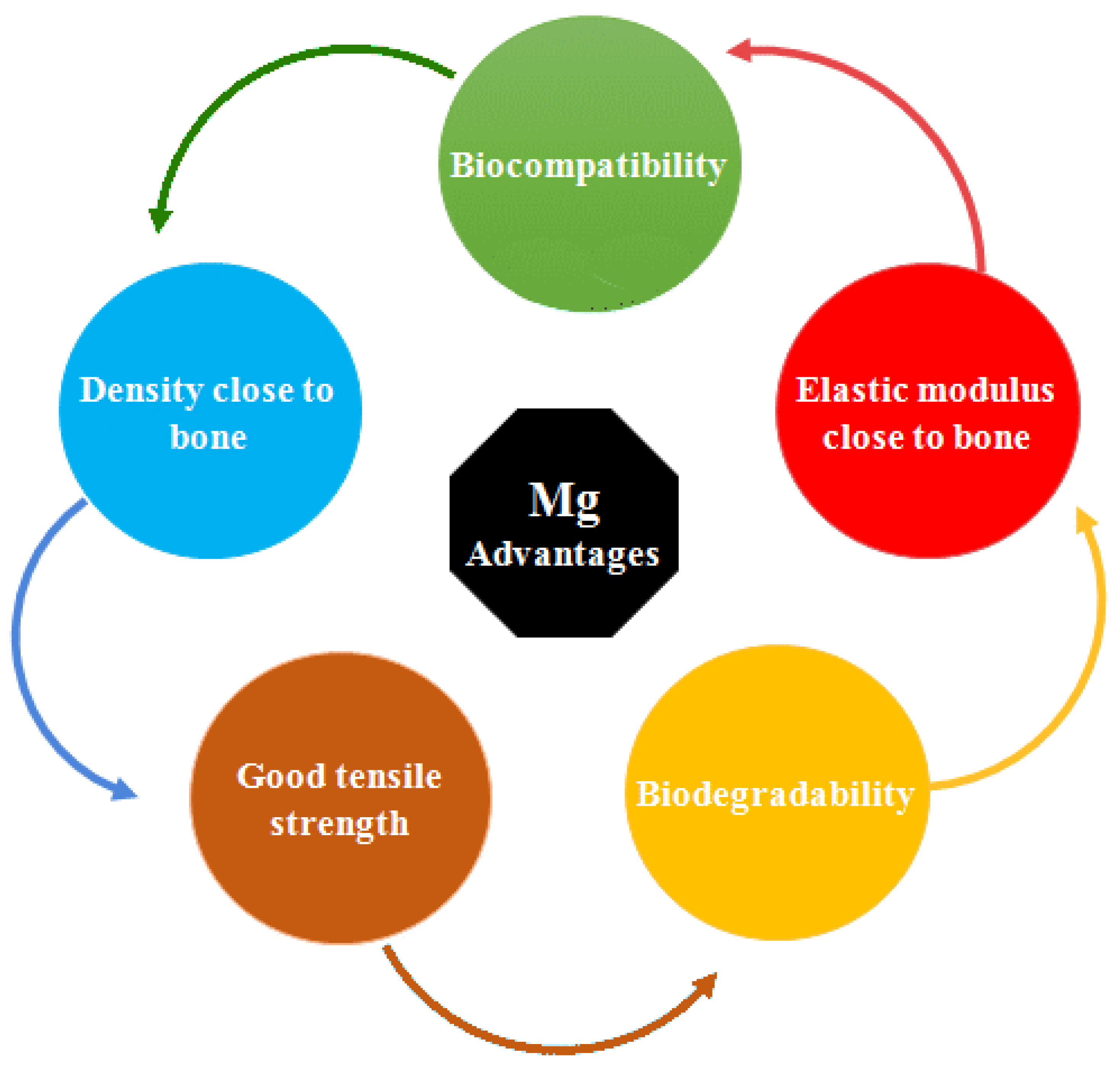 Bioengineering 11 00508 g001 Bioengineering 11 00508 g001