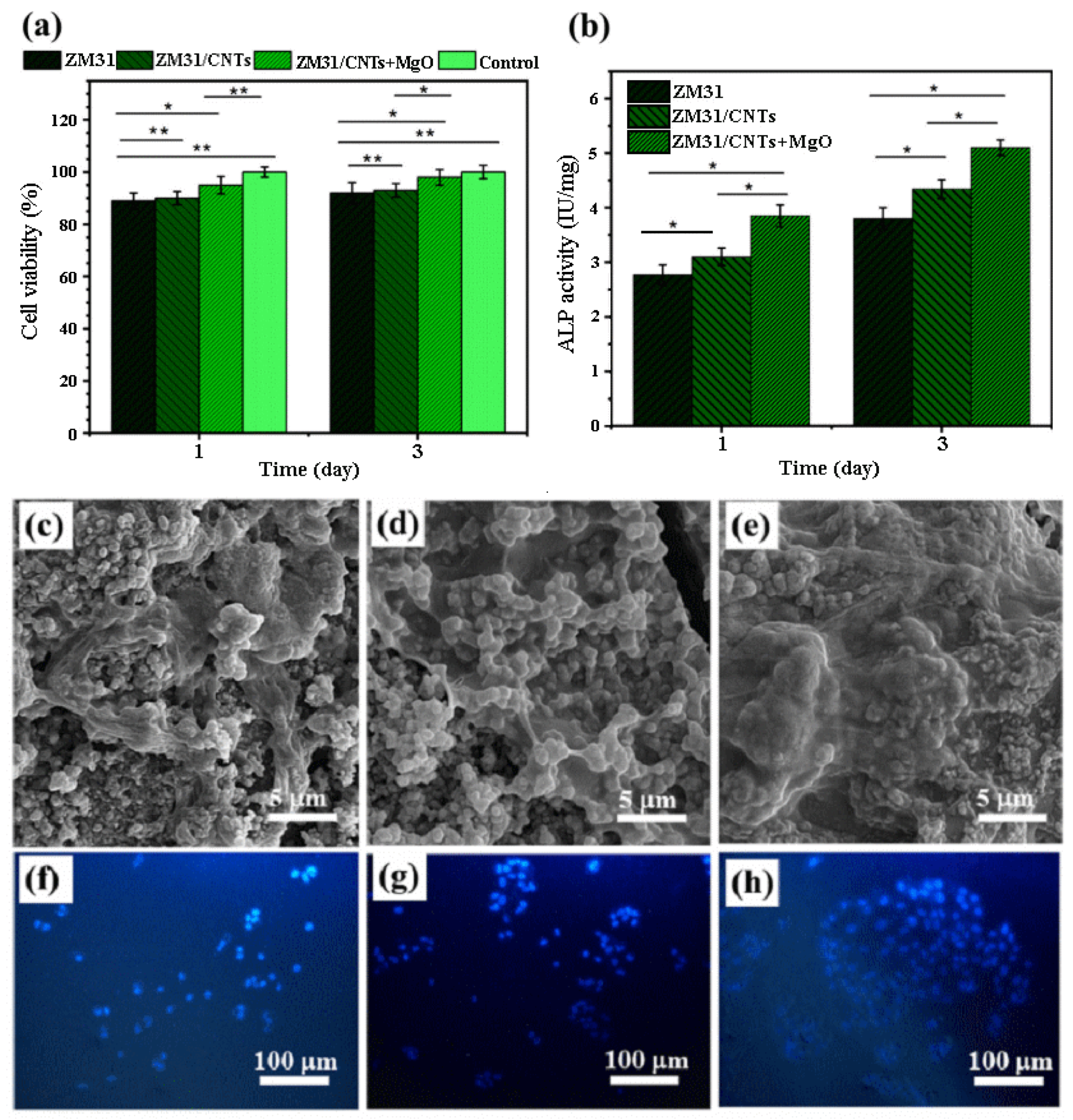 Bioengineering 11 00508 g004 Bioengineering 11 00508 g004
