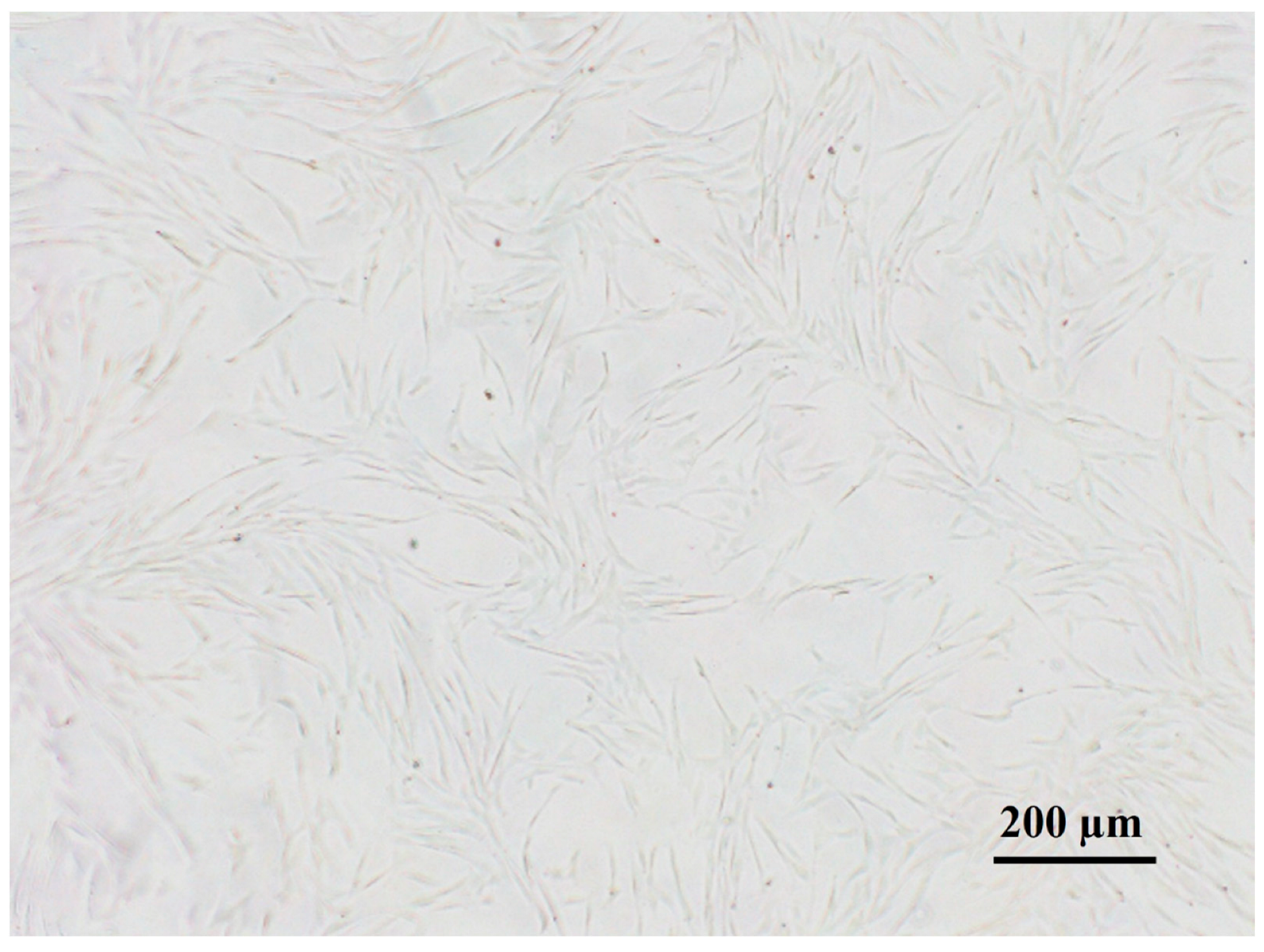 Bioengineering 11 00513 g001