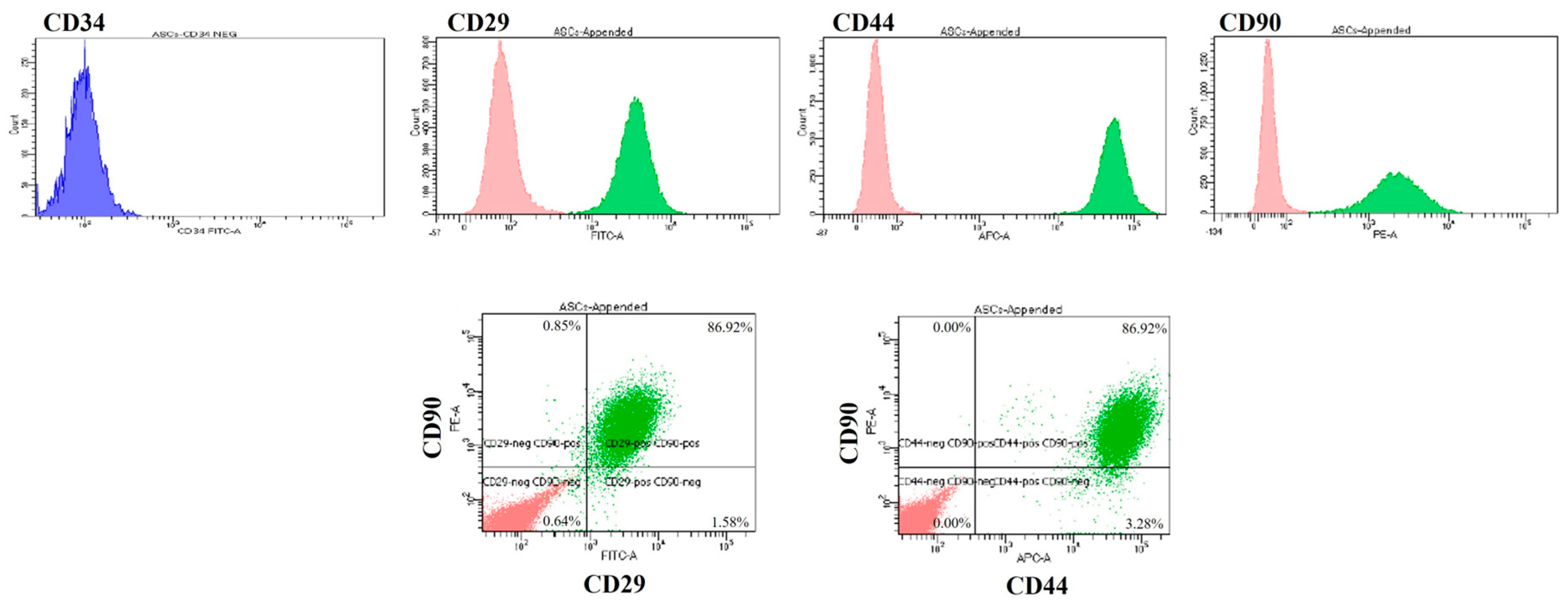 Bioengineering 11 00513 g002