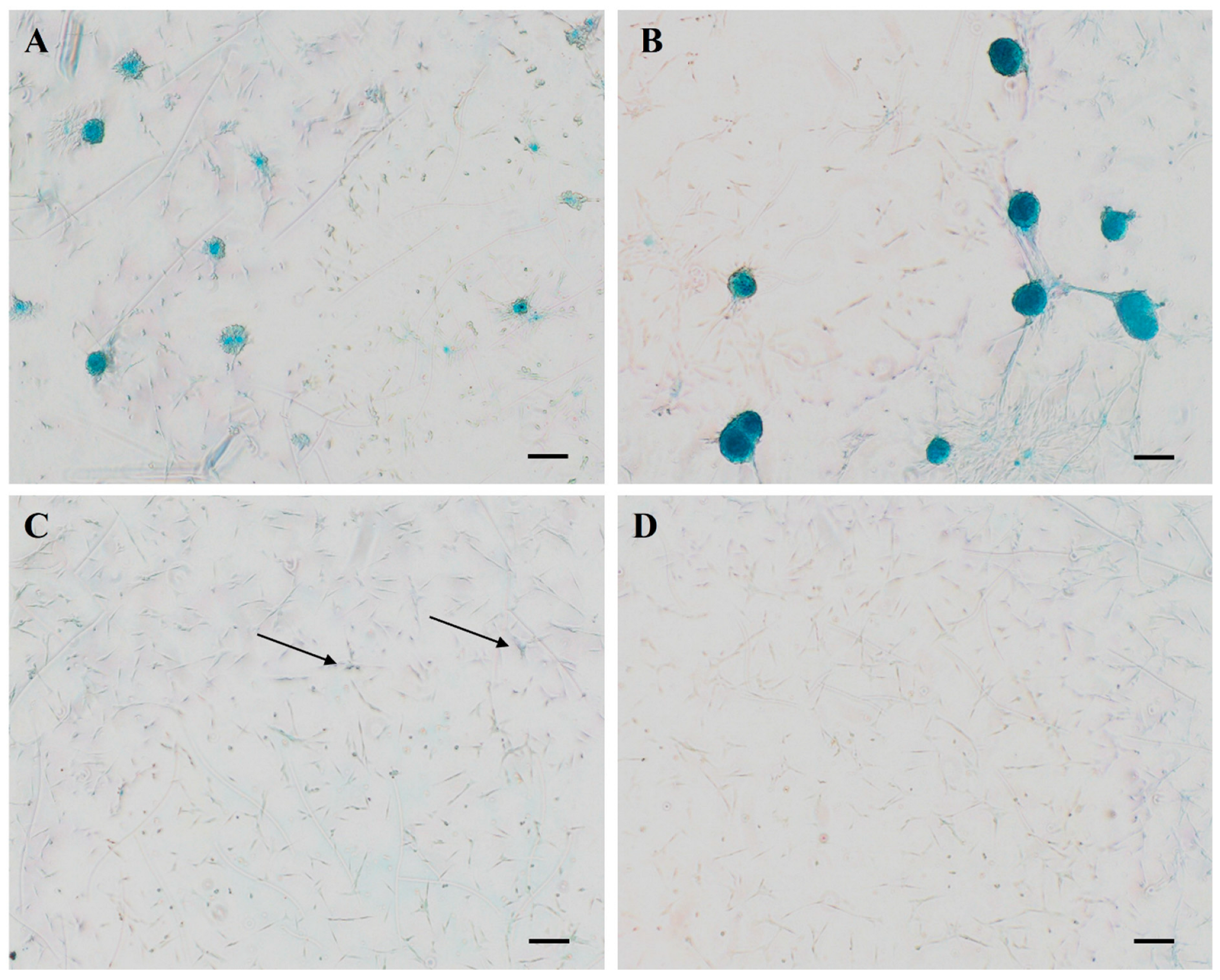 Bioengineering 11 00513 g006