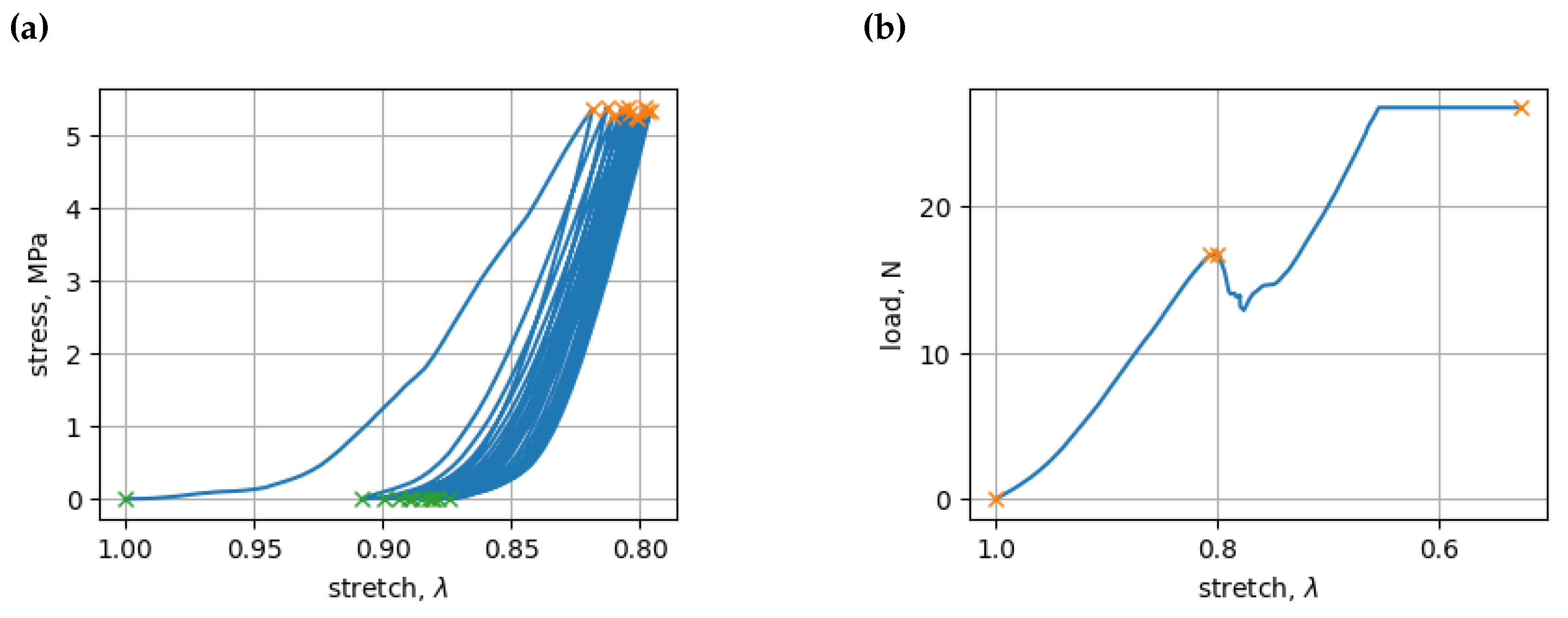 Bioengineering 11 00516 g003