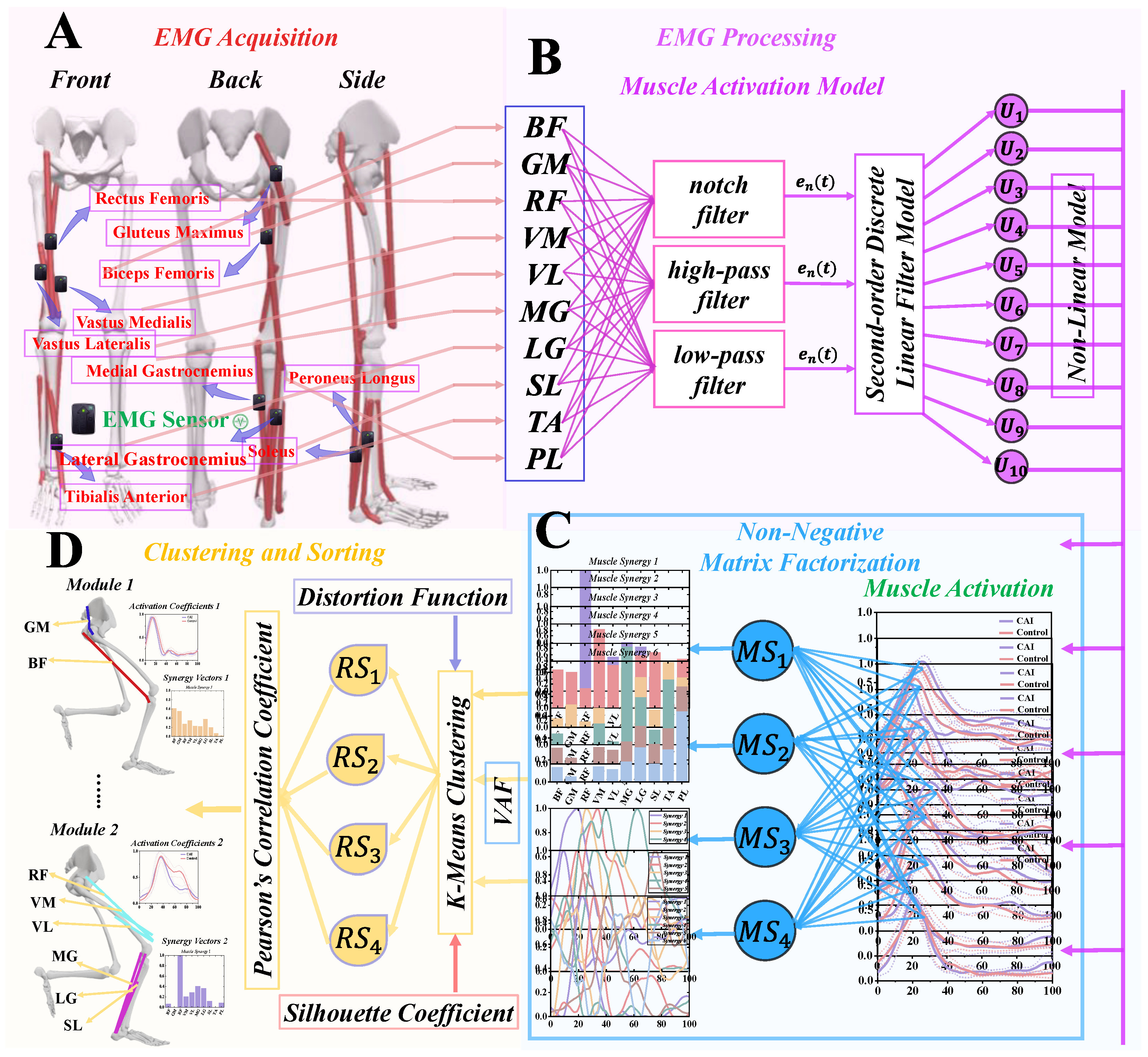 Bioengineering 11 00518 g001