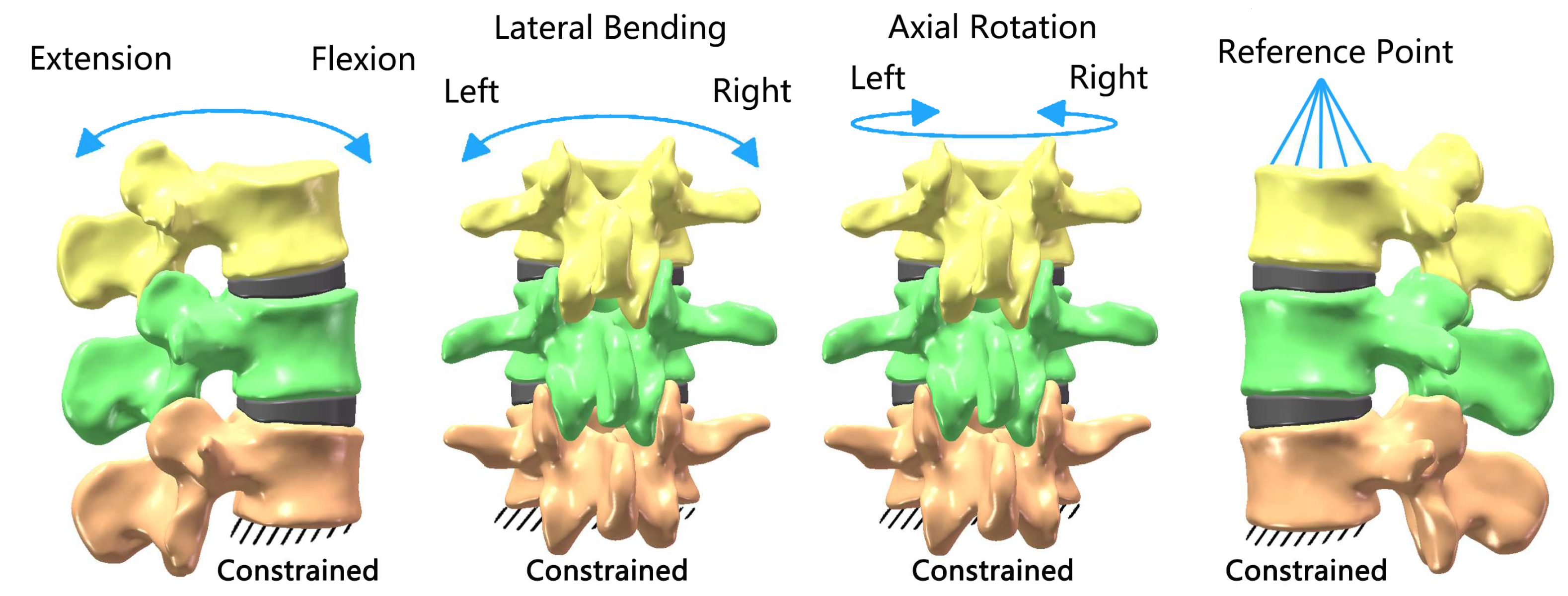 Bioengineering 11 00519 g001