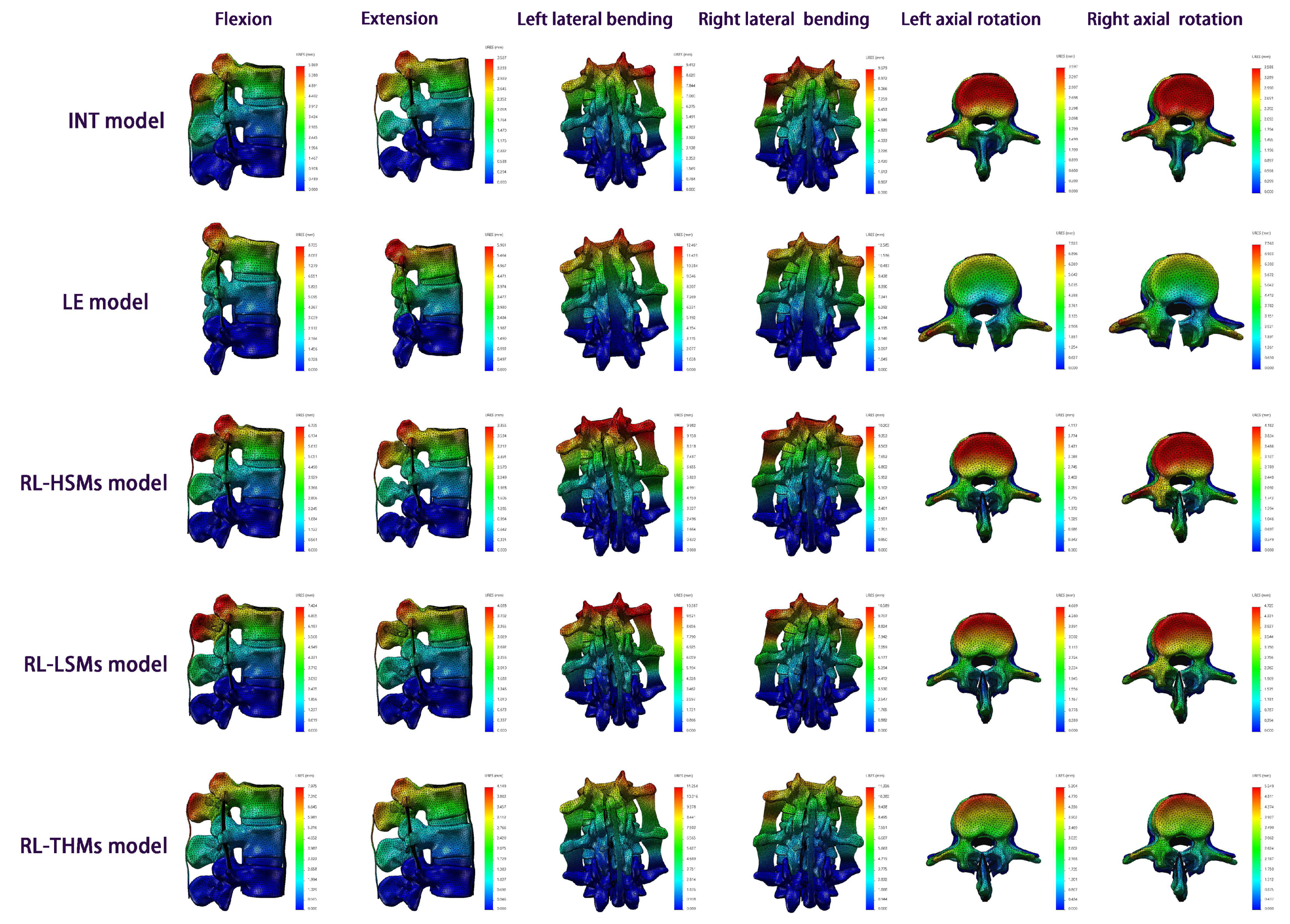 Bioengineering 11 00519 g005