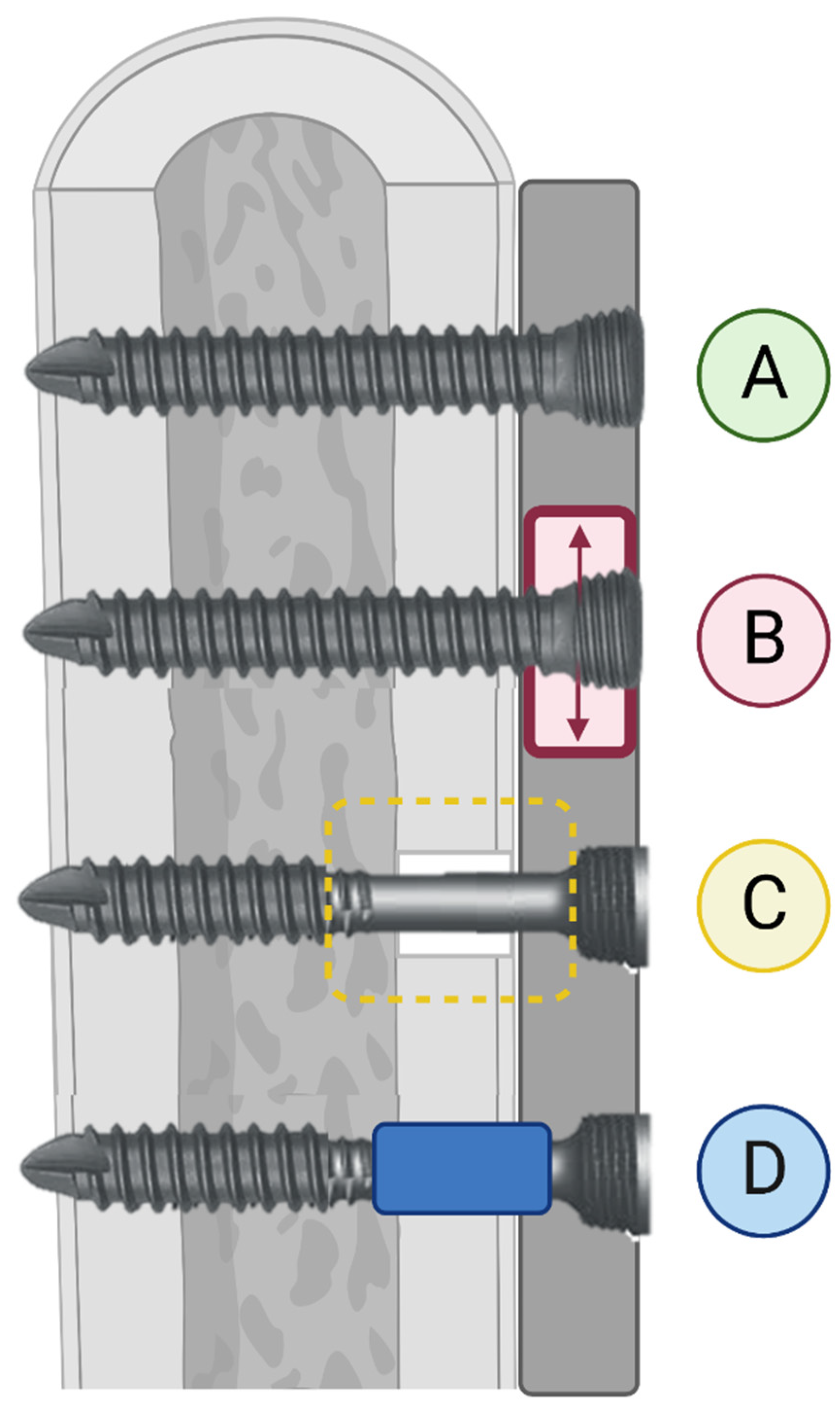 Bioengineering 11 00525 g003