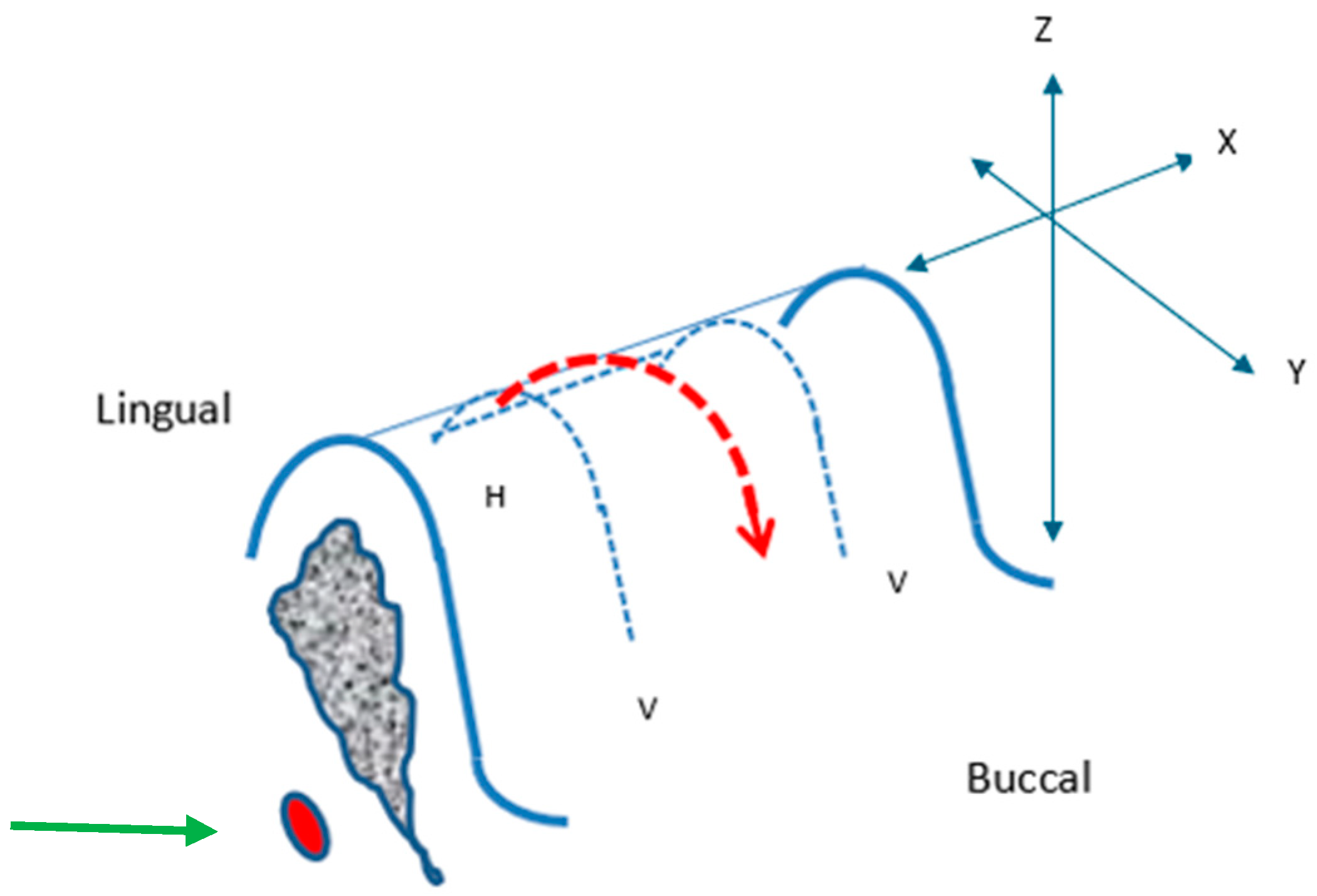 Bioengineering 11 00532 g003