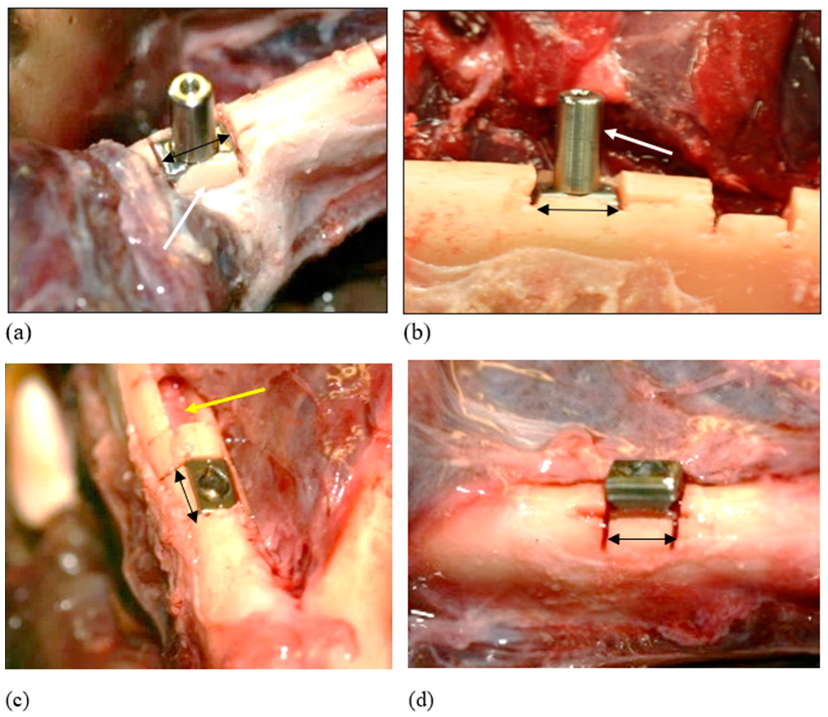Bioengineering 11 00532 g007