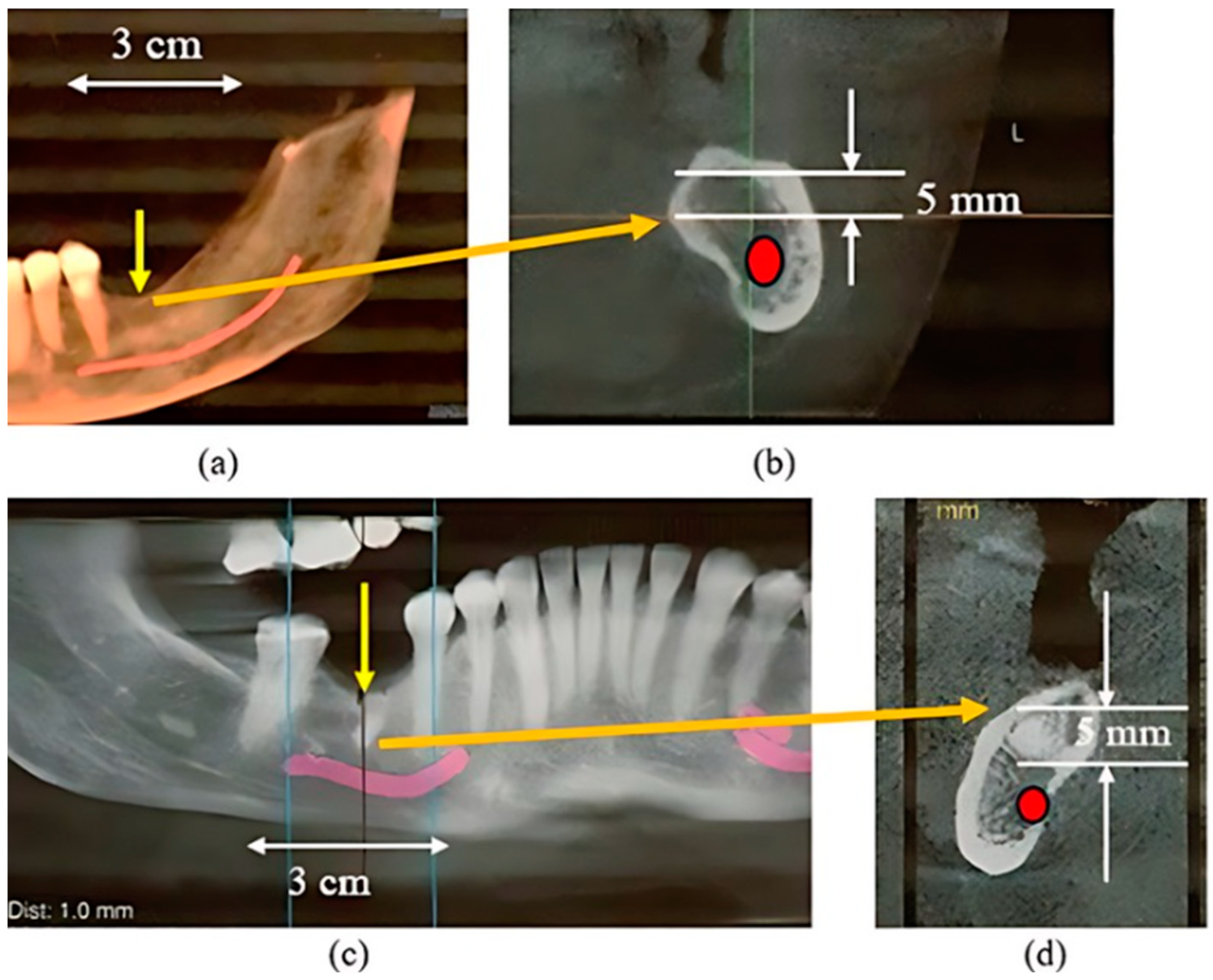 Bioengineering 11 00532 g010