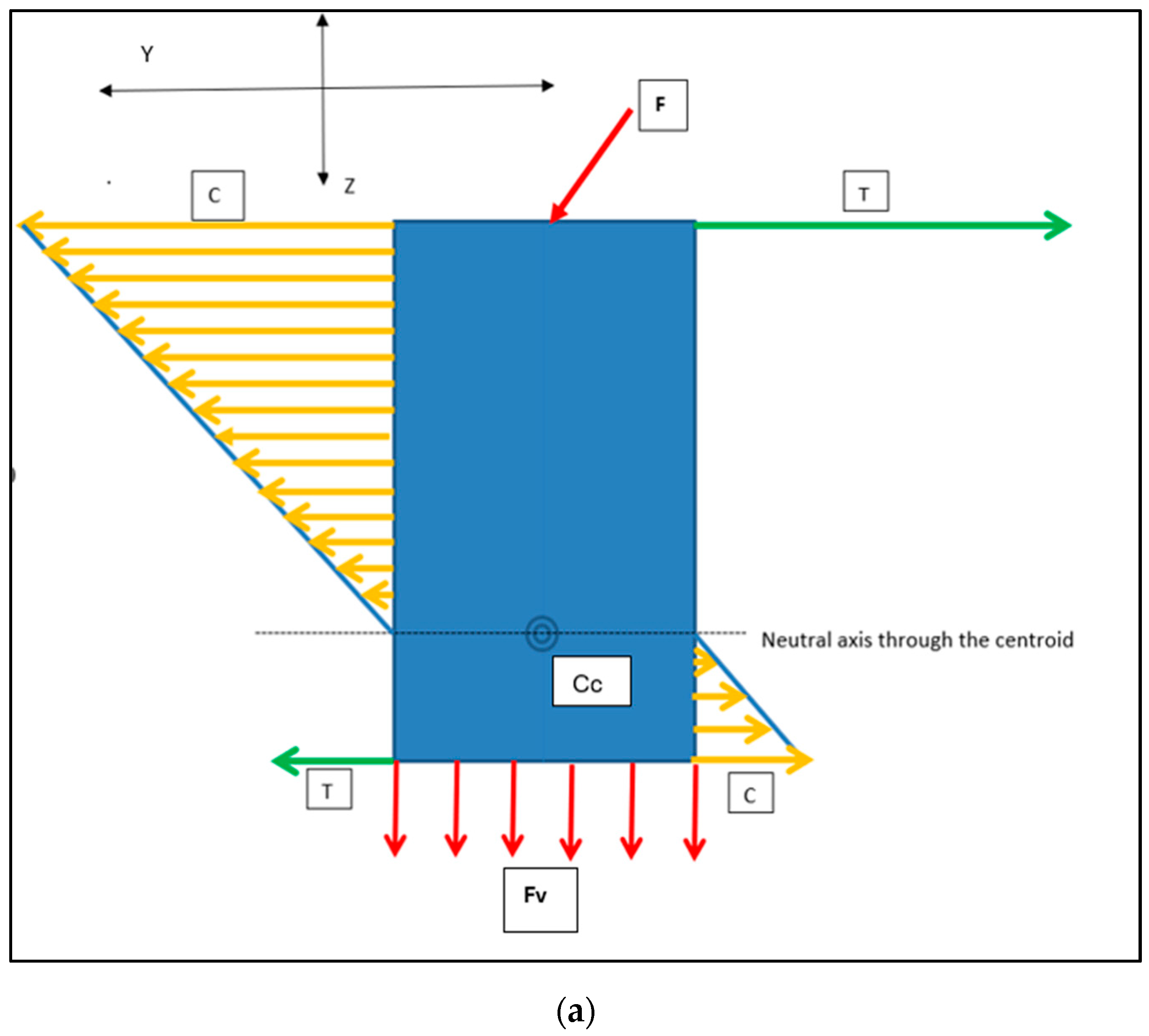 Bioengineering 11 00532 g014a