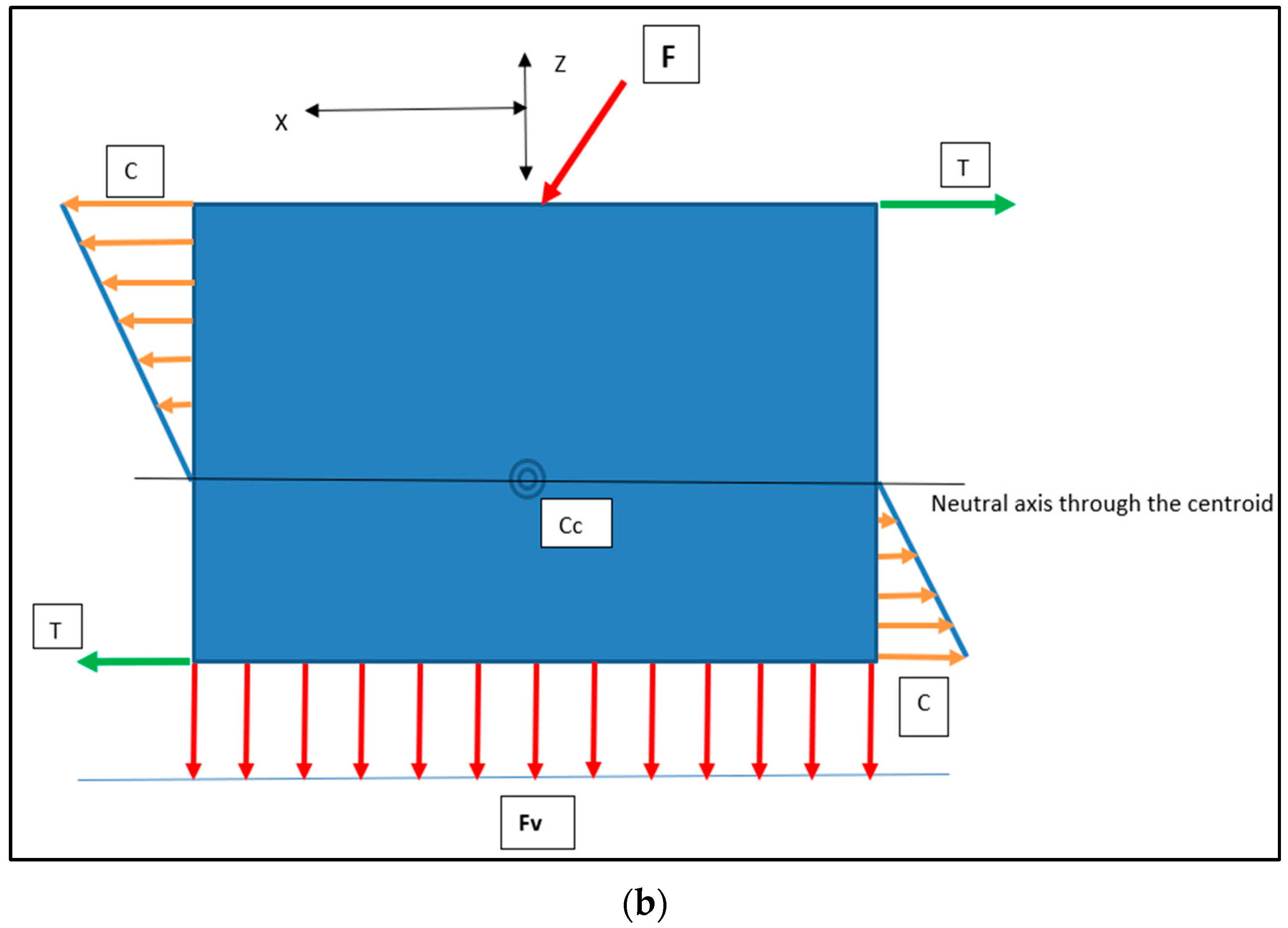 Bioengineering 11 00532 g014b