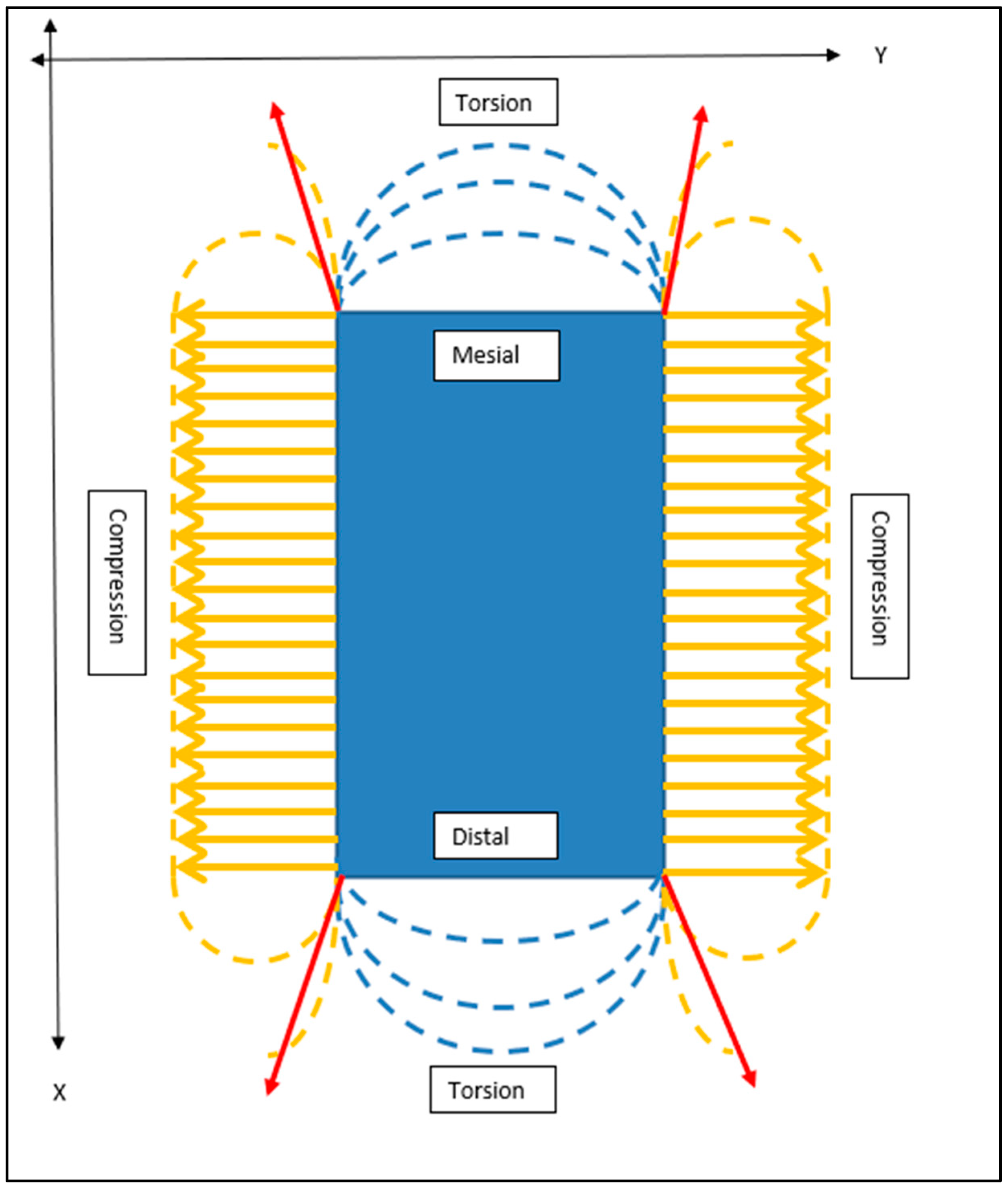 Bioengineering 11 00532 g015