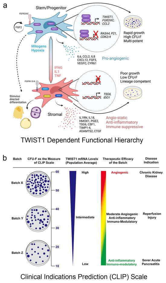 Bioengineering 11 00534 g003