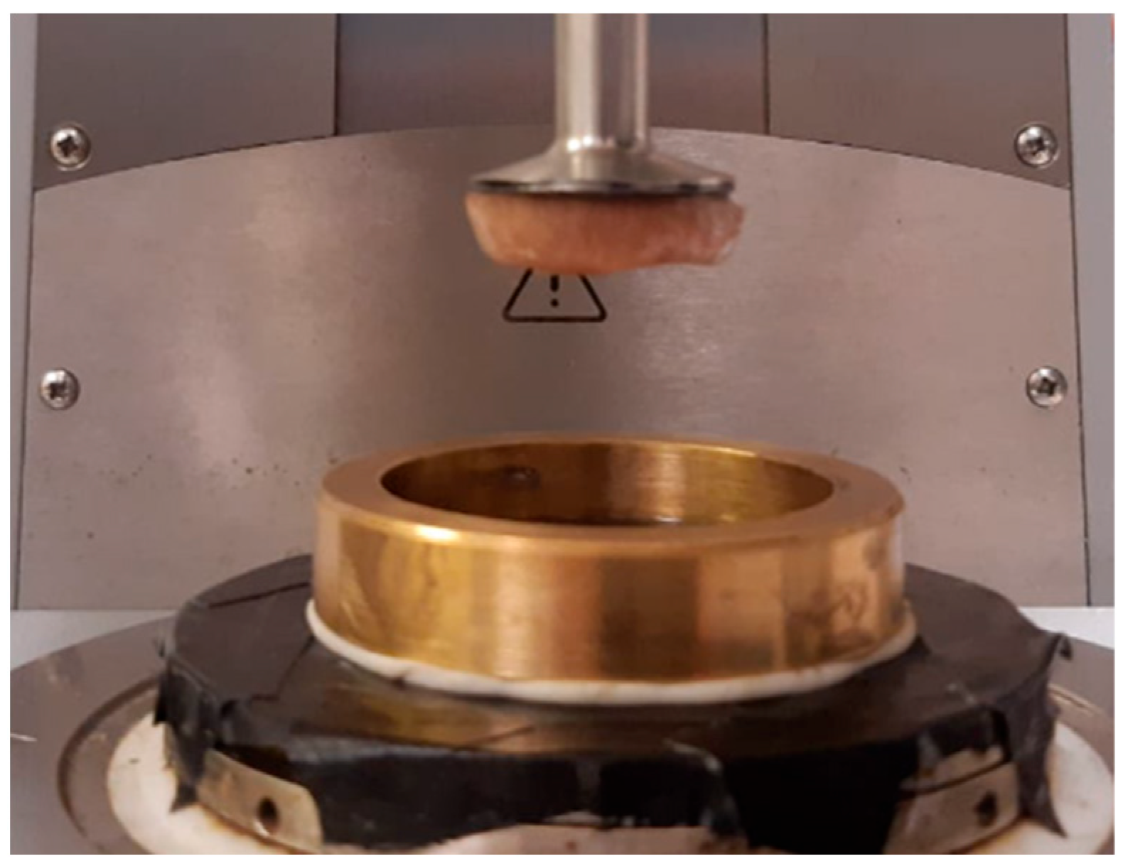 Bioengineering 11 00537 g002