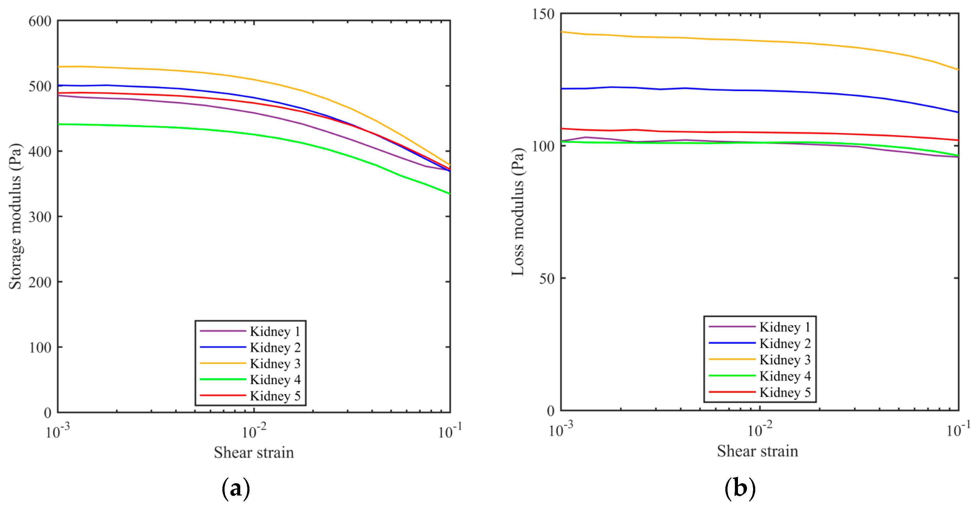 Bioengineering 11 00537 g005