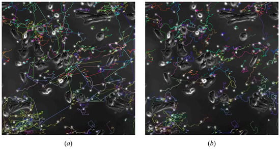Bioengineering 11 00540 g004