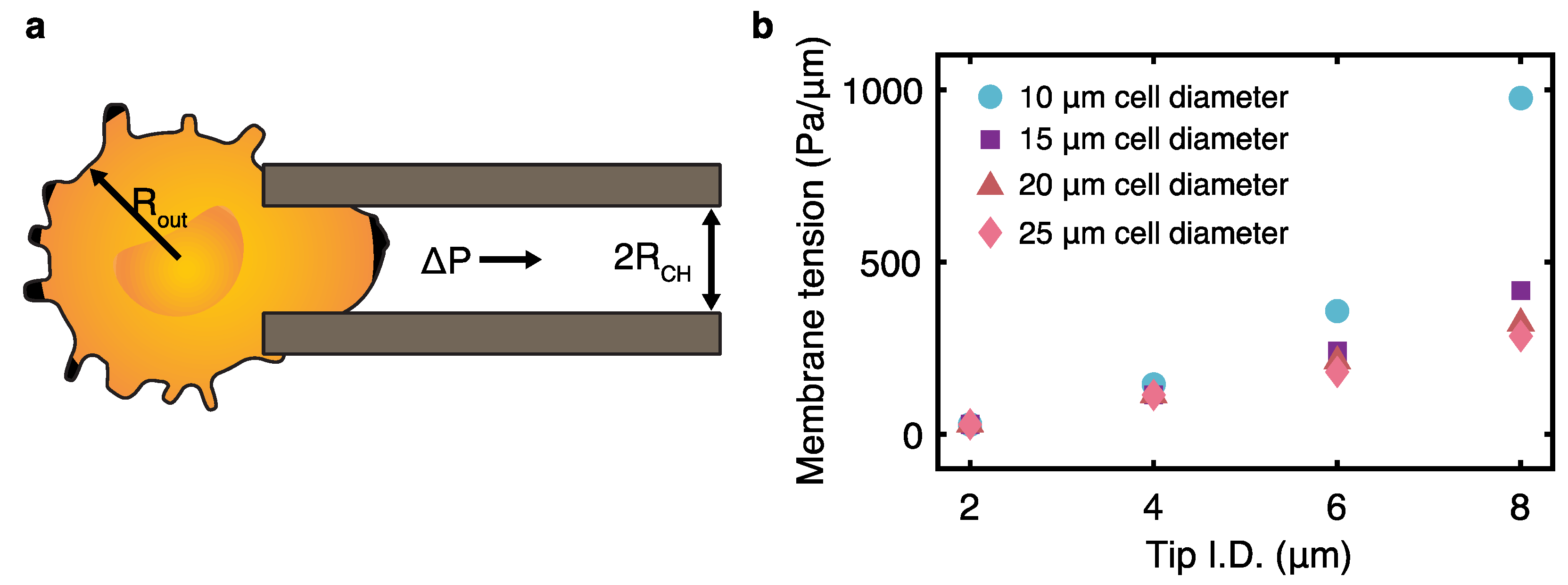 Bioengineering 11 00542 g003