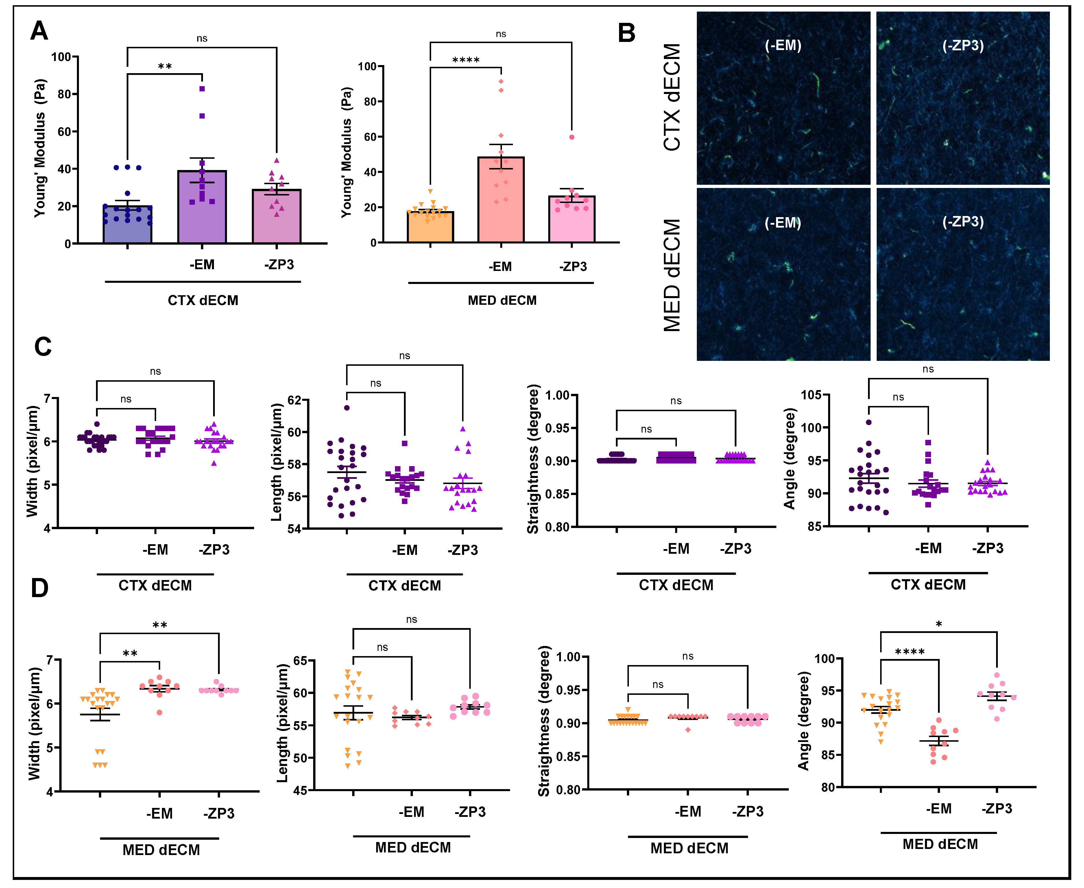 Bioengineering 11 00543 g002