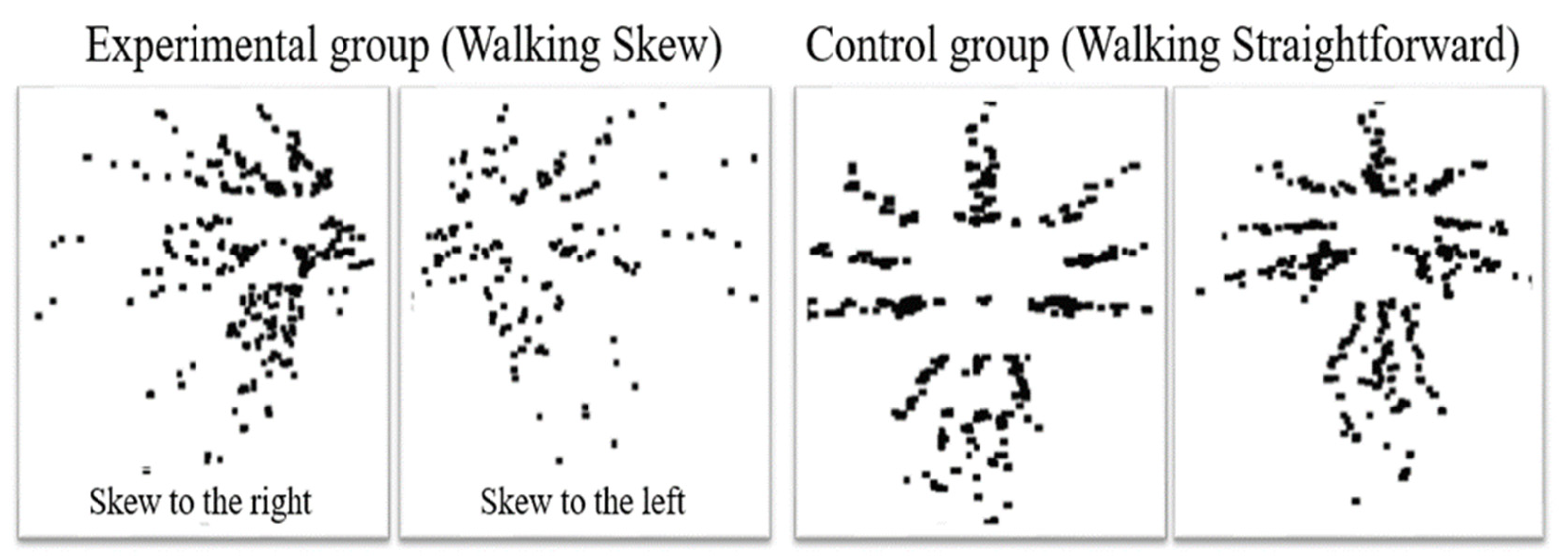 Bioengineering 11 00548 g004