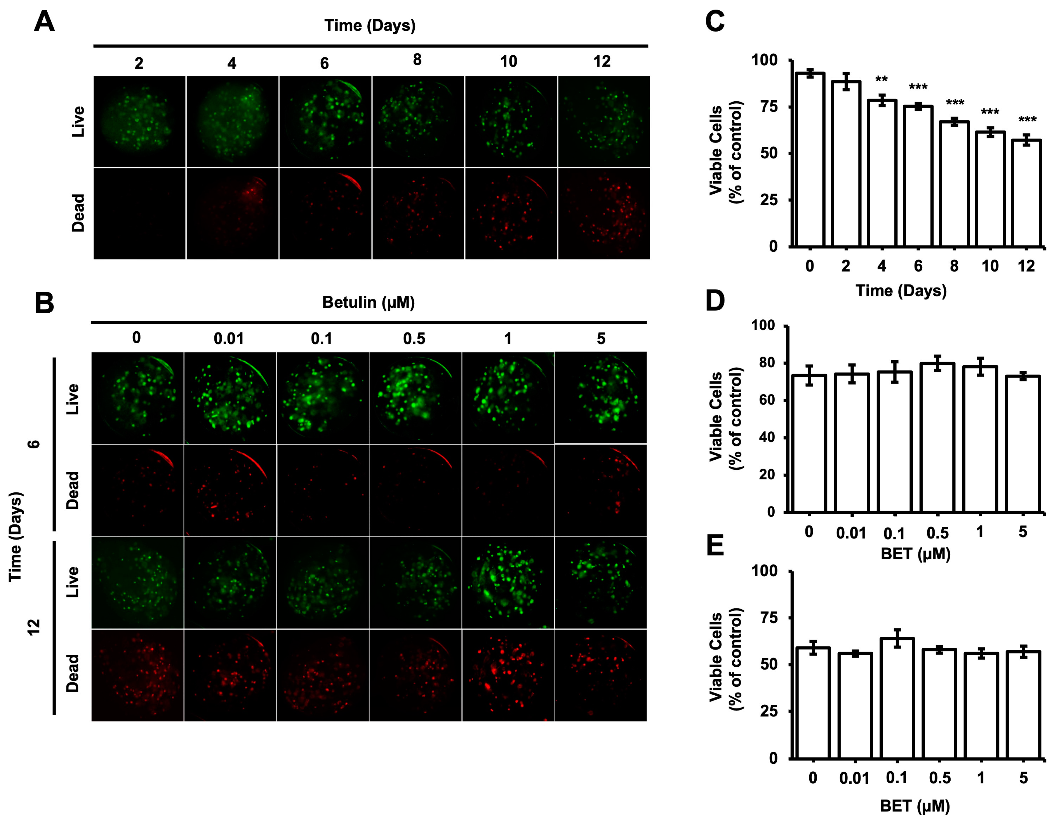 Bioengineering 11 00553 g002