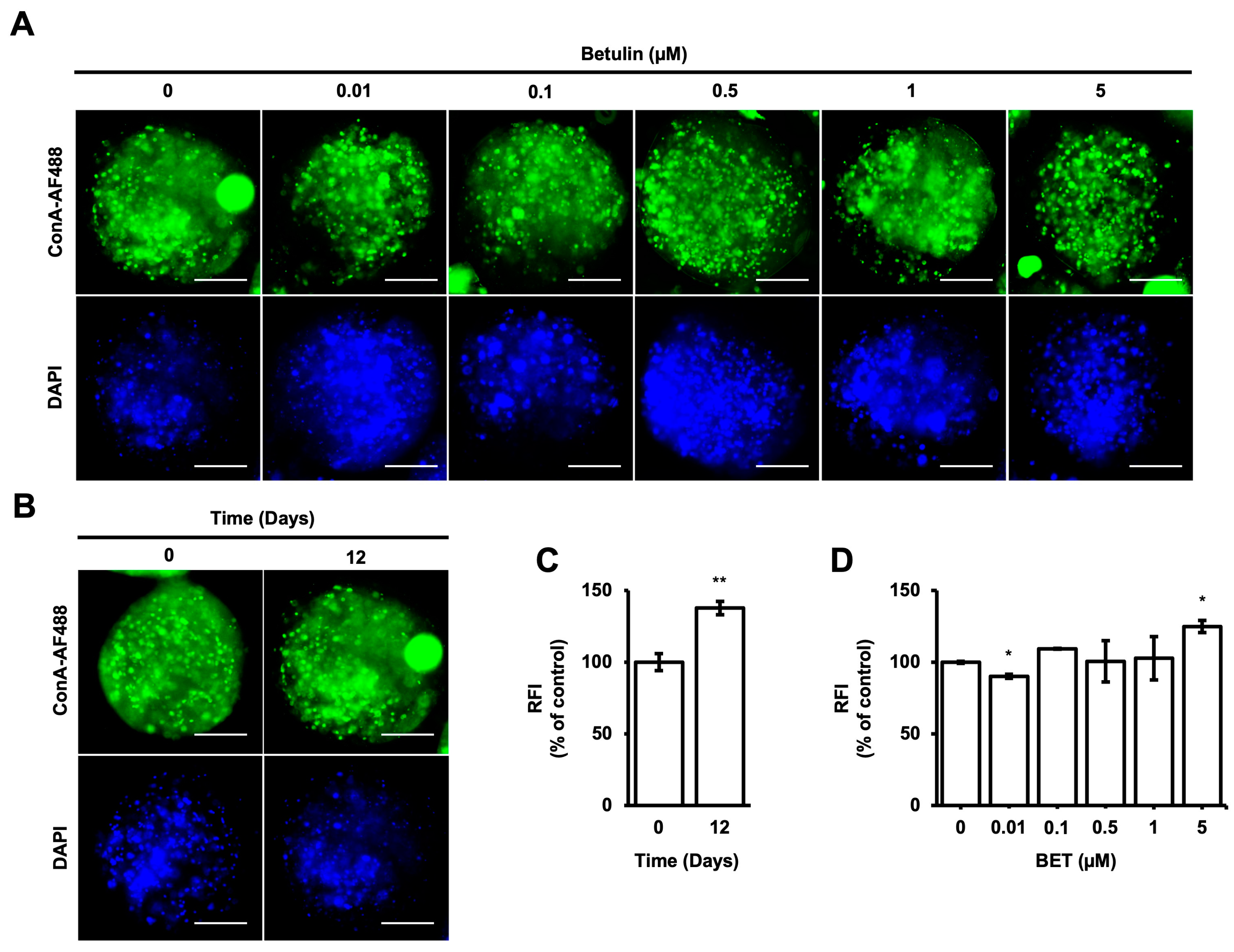 Bioengineering 11 00553 g003