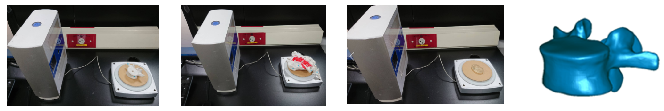 Bioengineering 11 00558 g001