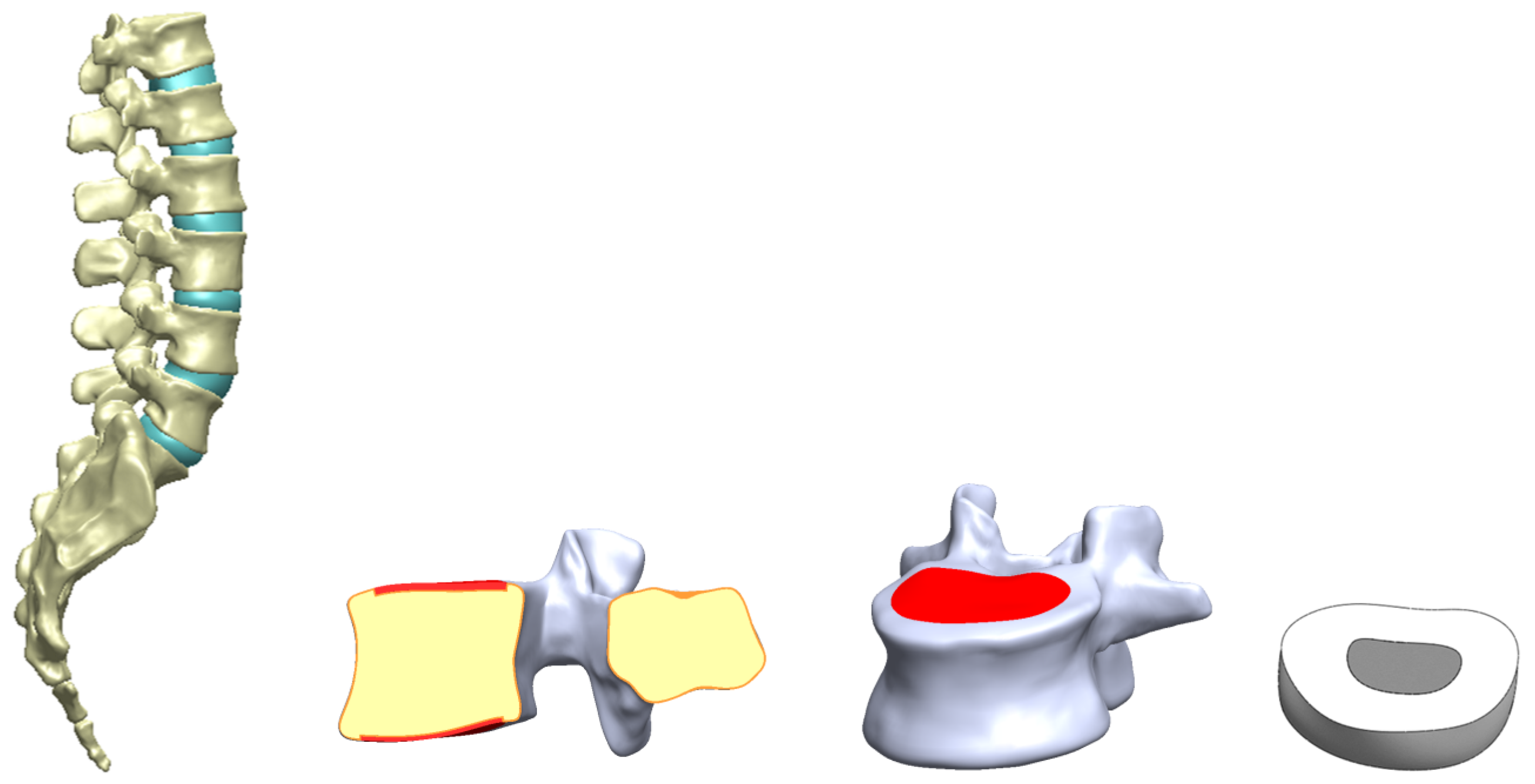 Bioengineering 11 00558 g002