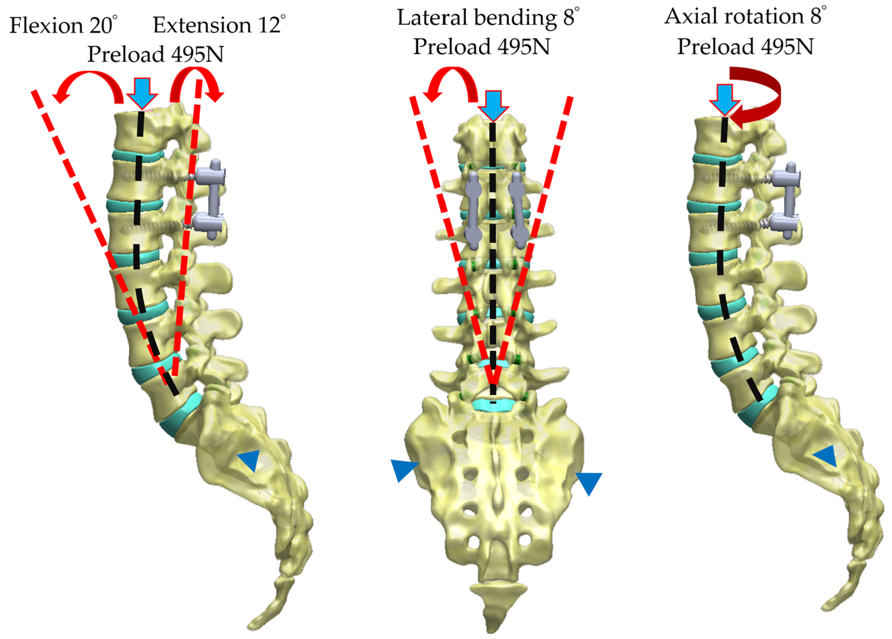 Bioengineering 11 00558 g005