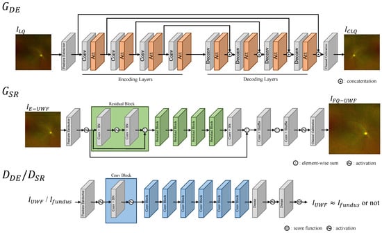 Bioengineering 11 00568 g004