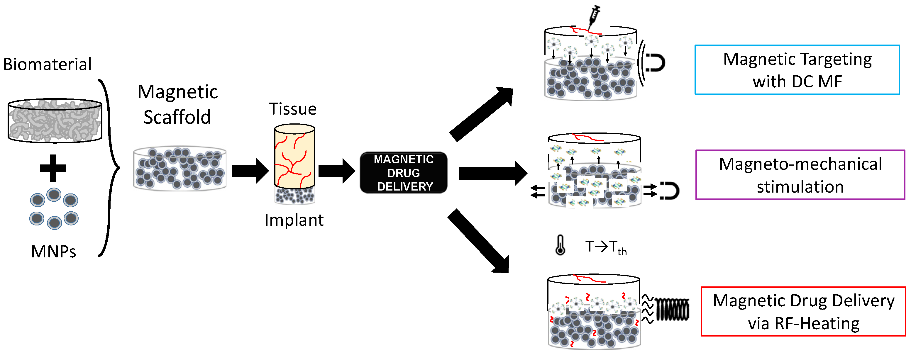 Bioengineering 11 00573 g001