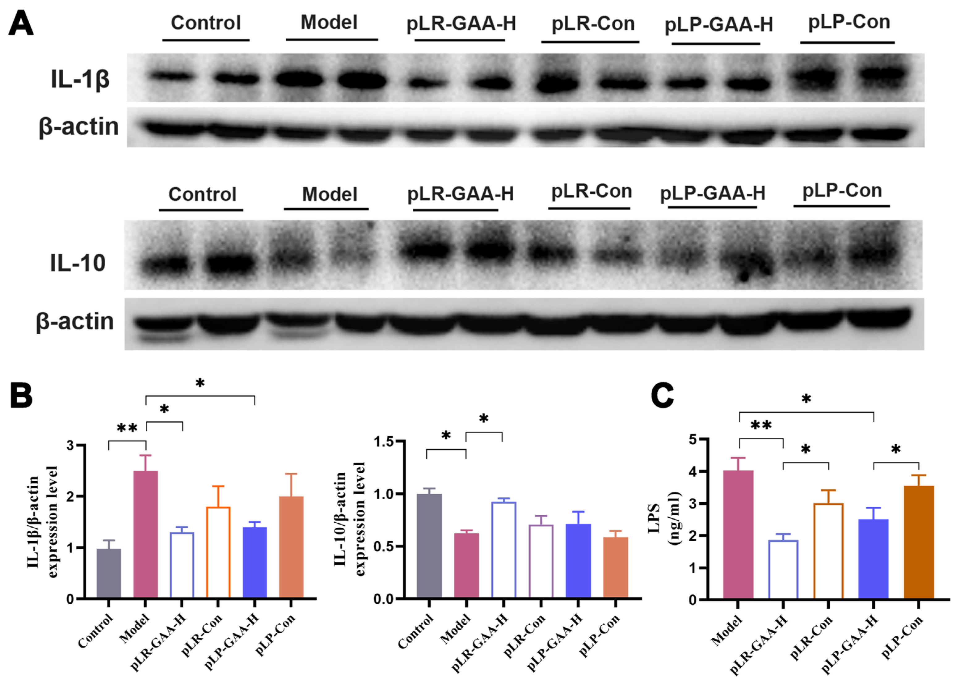 Bioengineering 11 00574 g006
