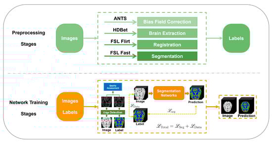 Bioengineering 11 00575 g001